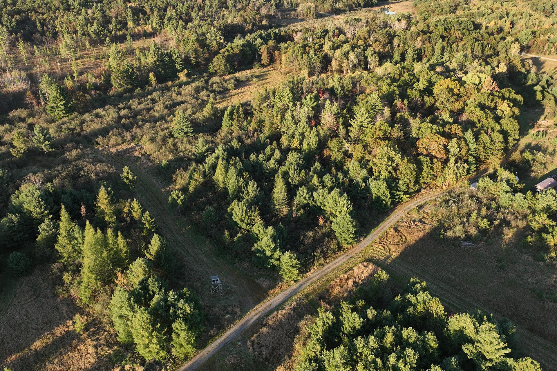 81 Acres ANDERSON ROAD, Neillsville, Wisconsin 54456, ,Land,For Sale,81 Acres ANDERSON ROAD,22504866