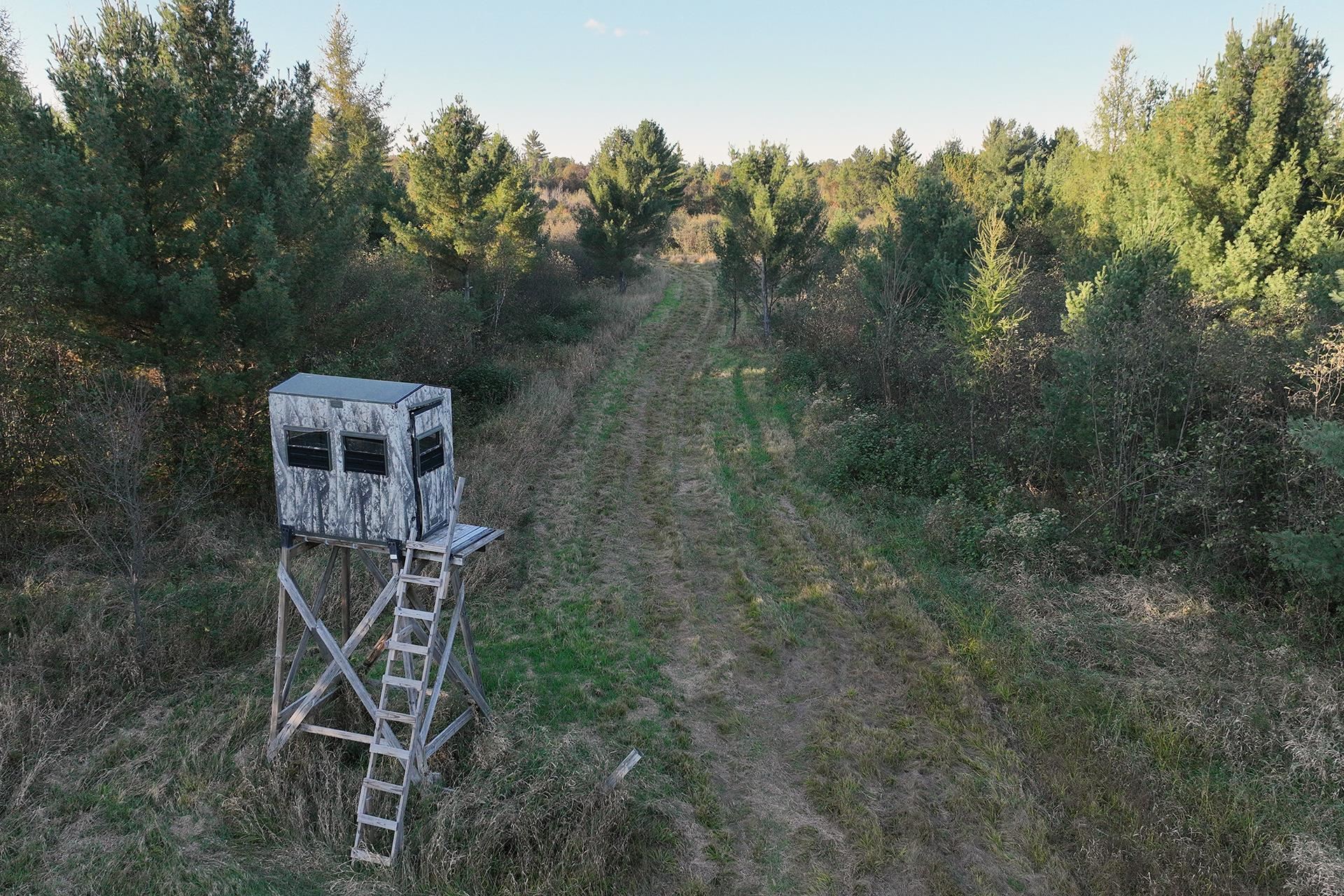 81 Acres ANDERSON ROAD, Neillsville, Wisconsin 54456, ,Land,For Sale,81 Acres ANDERSON ROAD,22504866