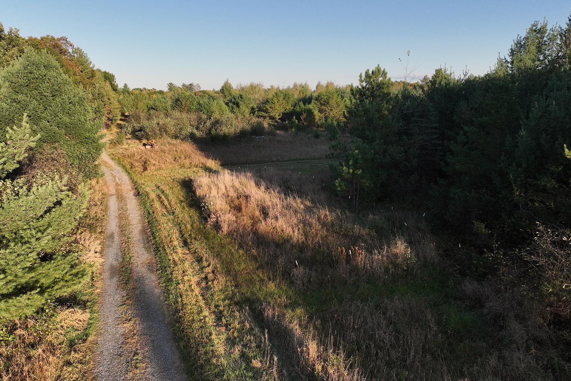 81 Acres ANDERSON ROAD, Neillsville, Wisconsin 54456, ,Land,For Sale,81 Acres ANDERSON ROAD,22504866