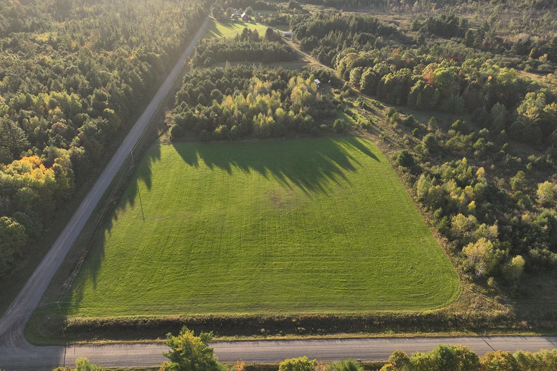 81 Acres ANDERSON ROAD, Neillsville, Wisconsin 54456, ,Land,For Sale,81 Acres ANDERSON ROAD,22504866