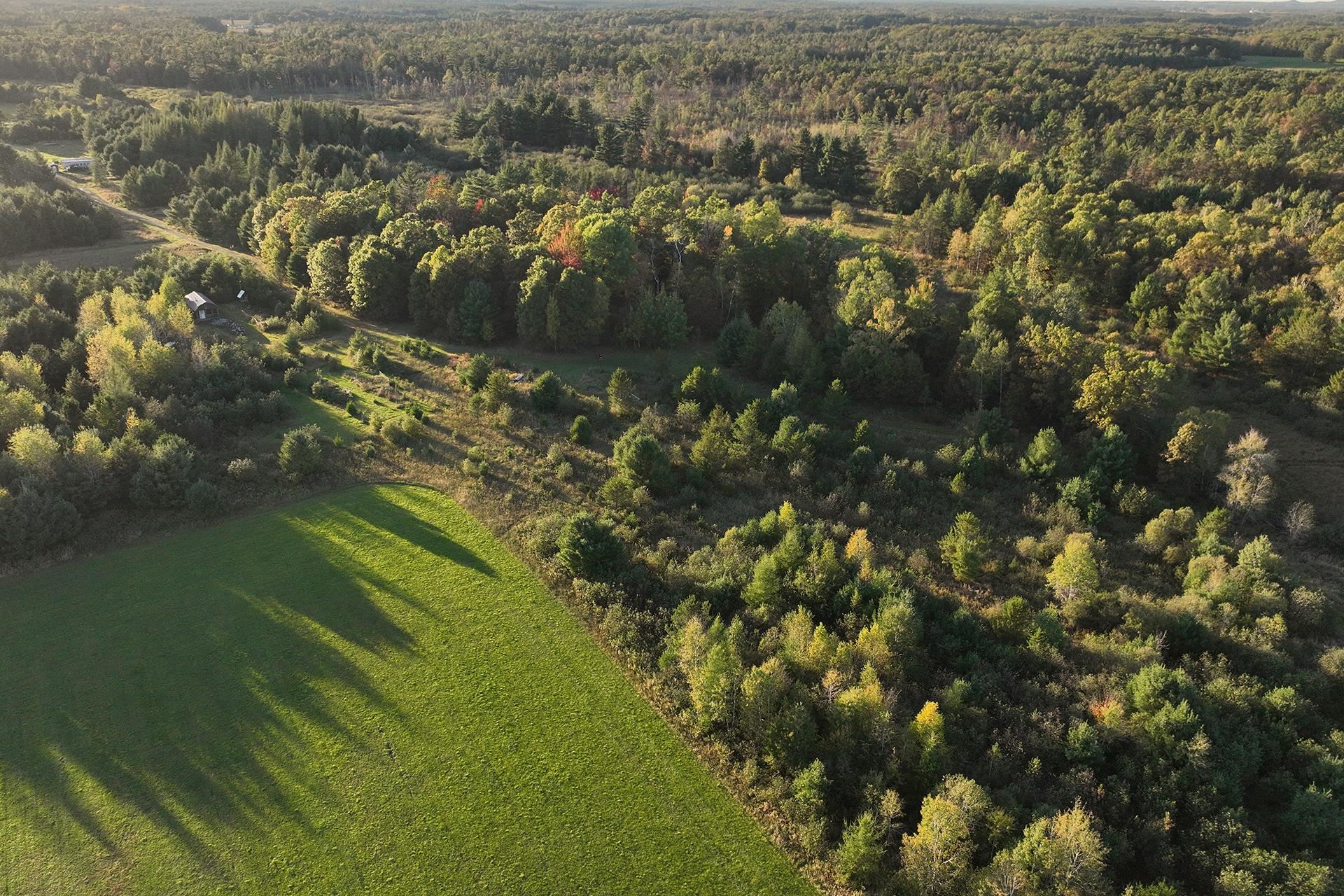 81 Acres ANDERSON ROAD, Neillsville, Wisconsin 54456, ,Land,For Sale,81 Acres ANDERSON ROAD,22504866