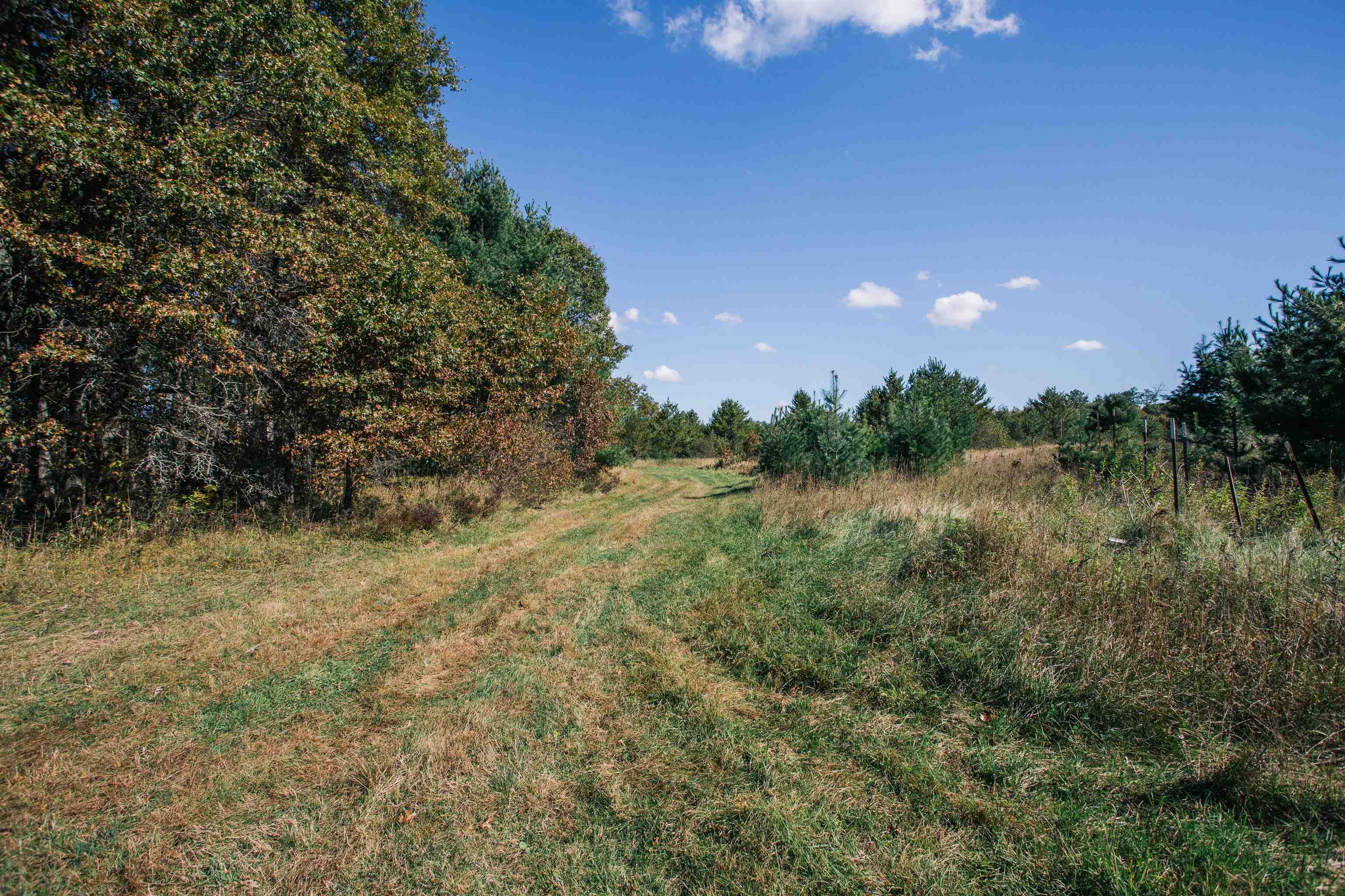81 Acres ANDERSON ROAD, Neillsville, Wisconsin 54456, ,Land,For Sale,81 Acres ANDERSON ROAD,22504866