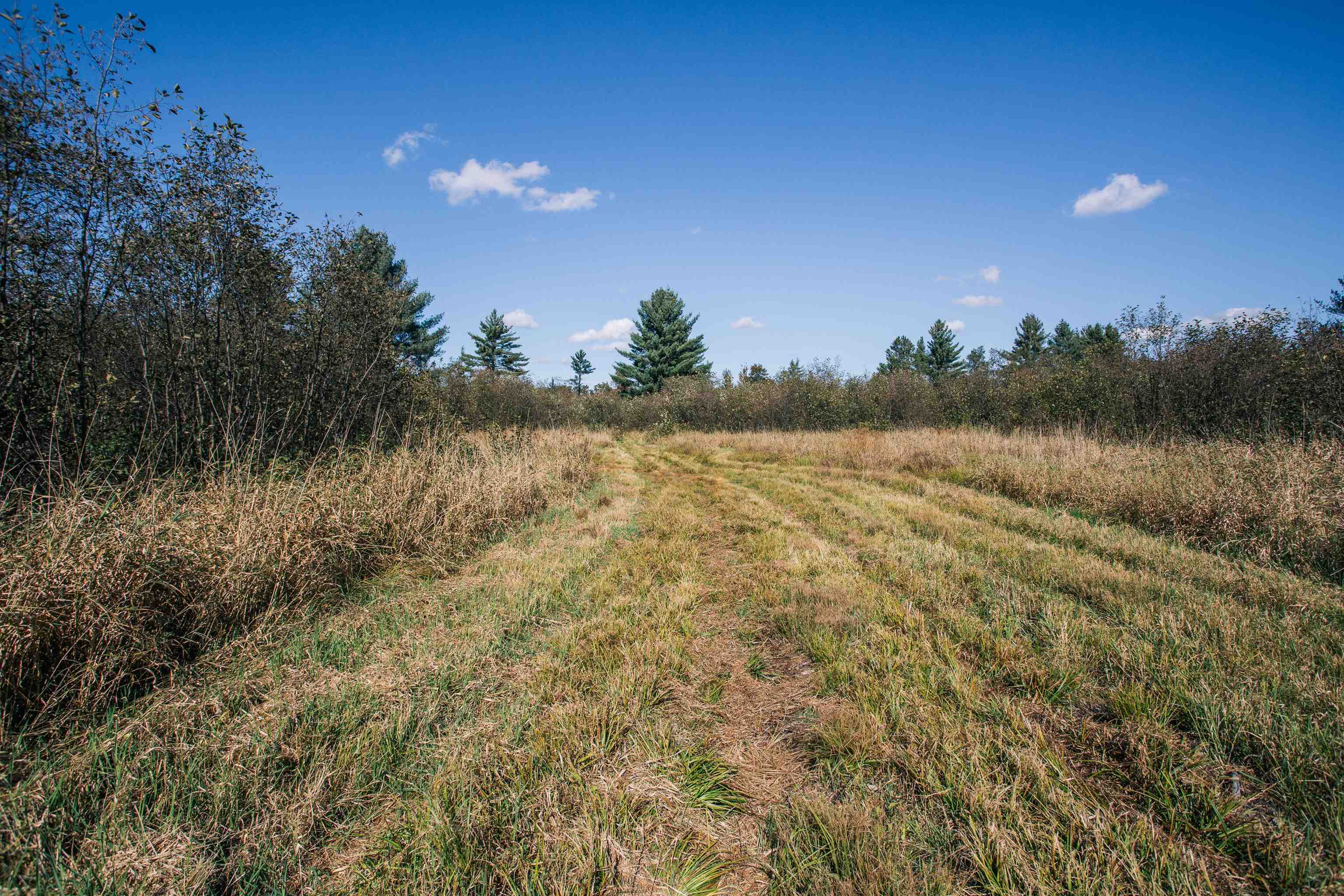 81 Acres ANDERSON ROAD, Neillsville, Wisconsin 54456, ,Land,For Sale,81 Acres ANDERSON ROAD,22504866