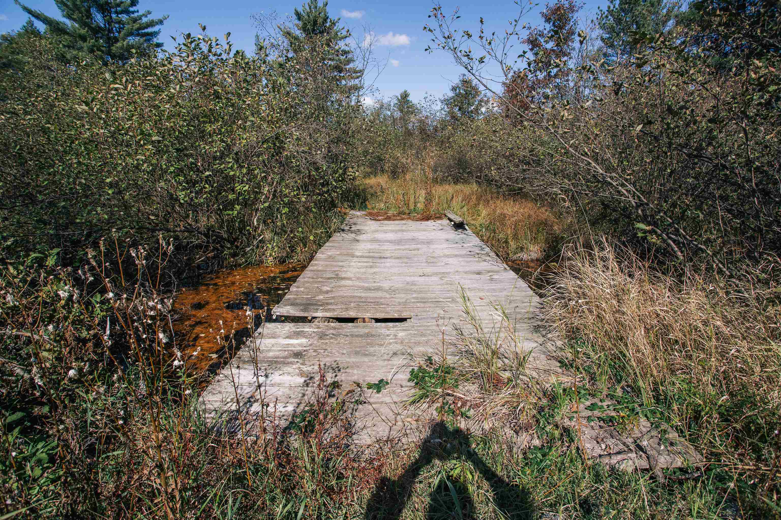 81 Acres ANDERSON ROAD, Neillsville, Wisconsin 54456, ,Land,For Sale,81 Acres ANDERSON ROAD,22504866