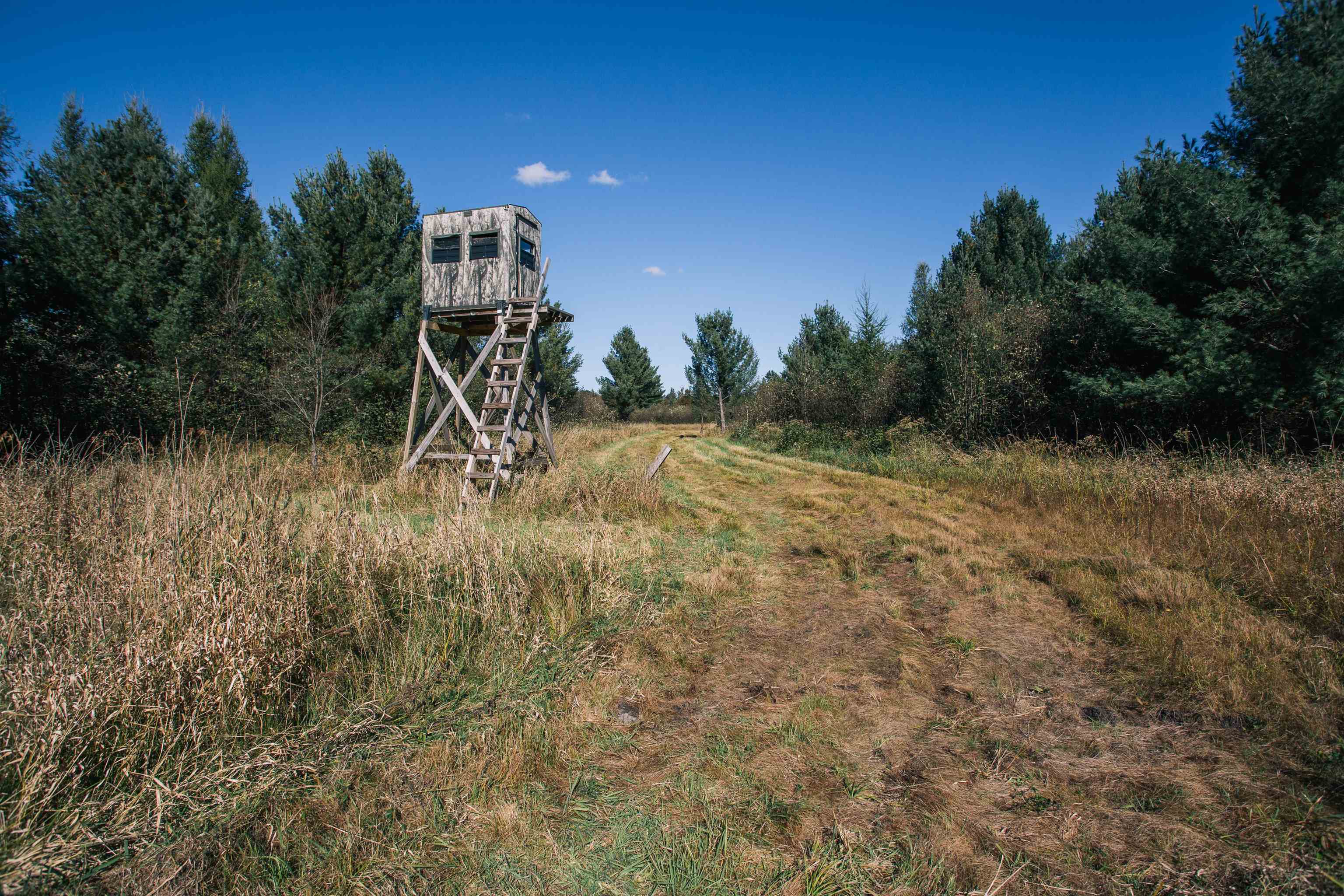 81 Acres ANDERSON ROAD, Neillsville, Wisconsin 54456, ,Land,For Sale,81 Acres ANDERSON ROAD,22504866