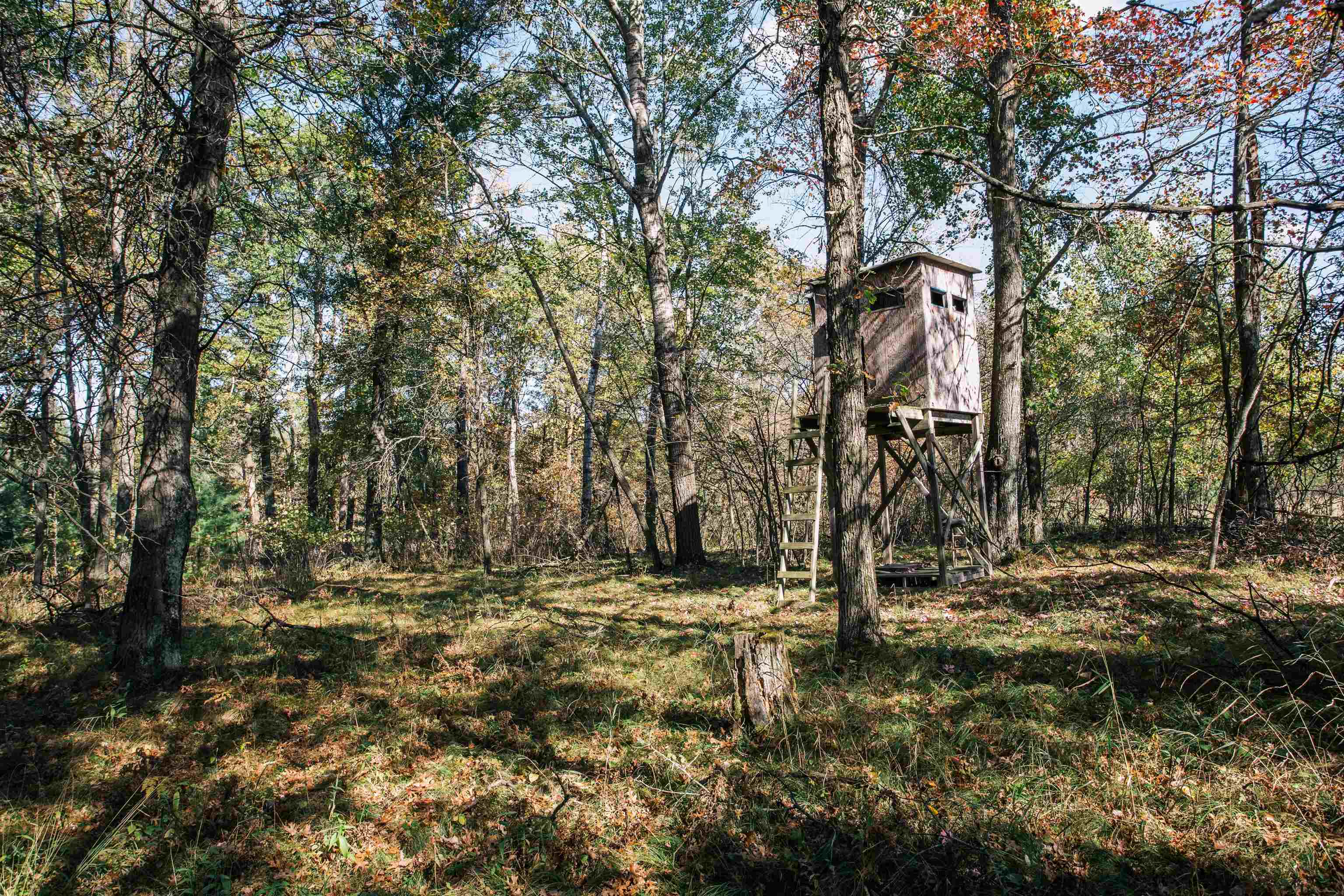 81 Acres ANDERSON ROAD, Neillsville, Wisconsin 54456, ,Land,For Sale,81 Acres ANDERSON ROAD,22504866