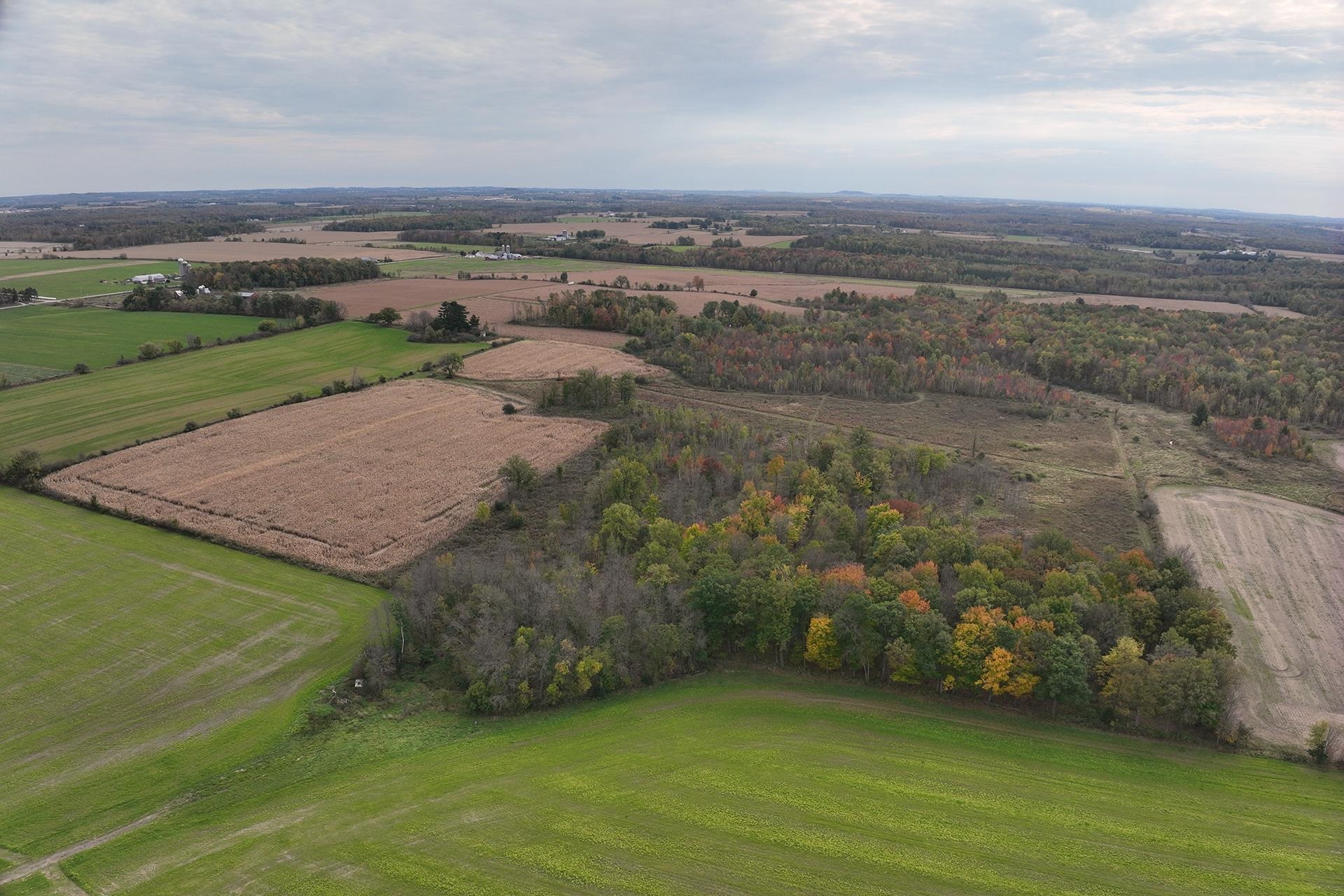 42.610 acres COUNTY ROAD O, Greenwood, Wisconsin 54437, ,Land,For Sale,42.610 acres COUNTY ROAD O,22504921