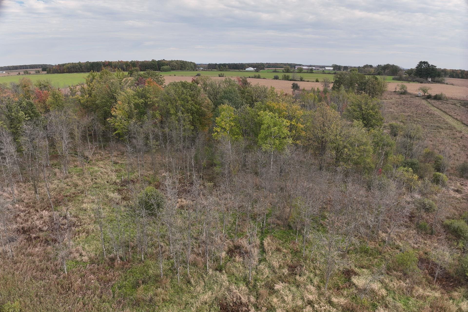 42.610 acres COUNTY ROAD O, Greenwood, Wisconsin 54437, ,Land,For Sale,42.610 acres COUNTY ROAD O,22504921