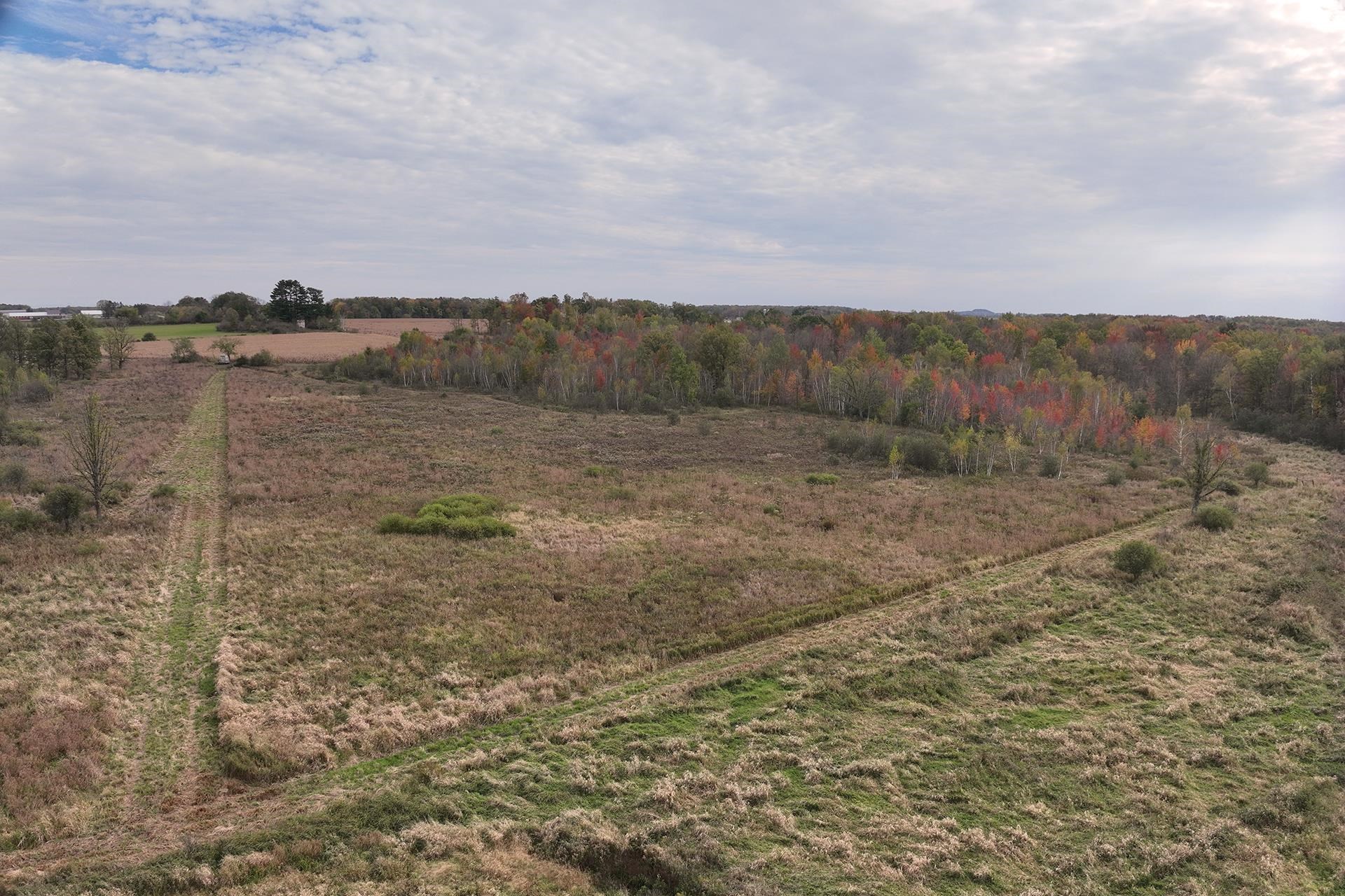 42.610 acres COUNTY ROAD O, Greenwood, Wisconsin 54437, ,Land,For Sale,42.610 acres COUNTY ROAD O,22504921