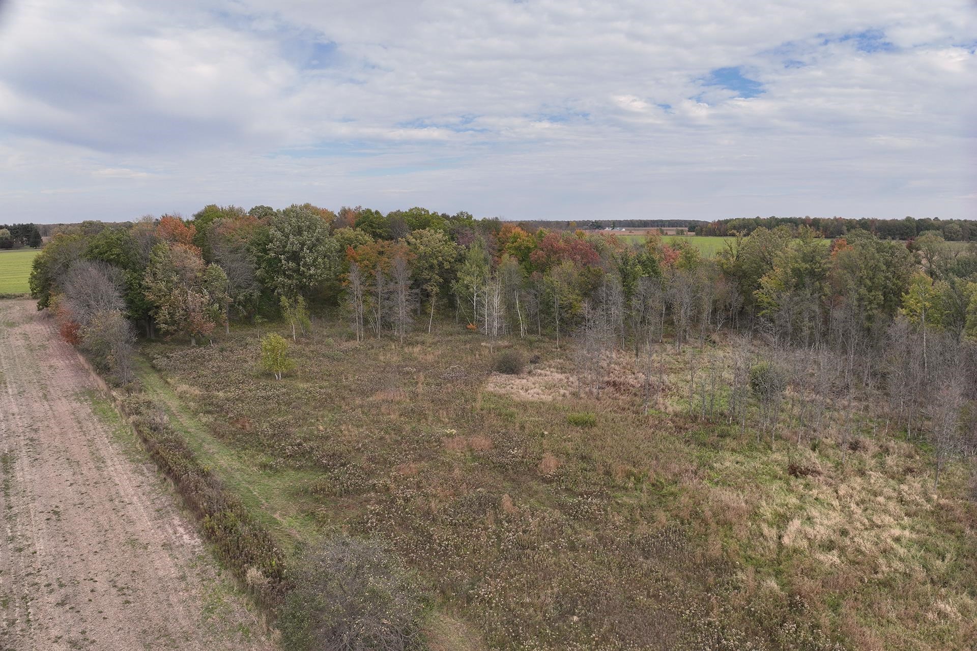 42.610 acres COUNTY ROAD O, Greenwood, Wisconsin 54437, ,Land,For Sale,42.610 acres COUNTY ROAD O,22504921