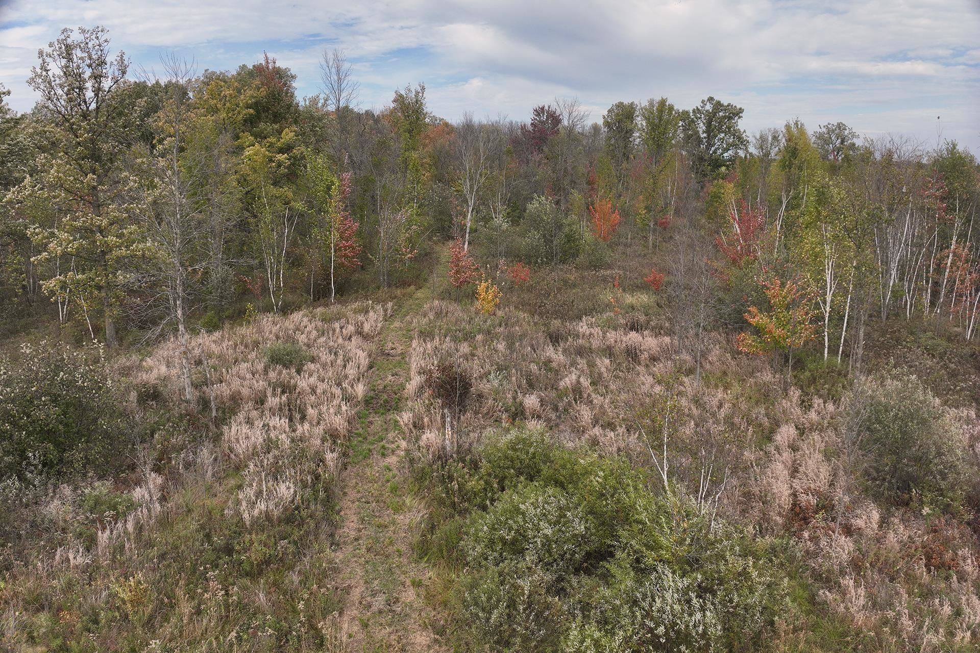 42.610 acres COUNTY ROAD O, Greenwood, Wisconsin 54437, ,Land,For Sale,42.610 acres COUNTY ROAD O,22504921