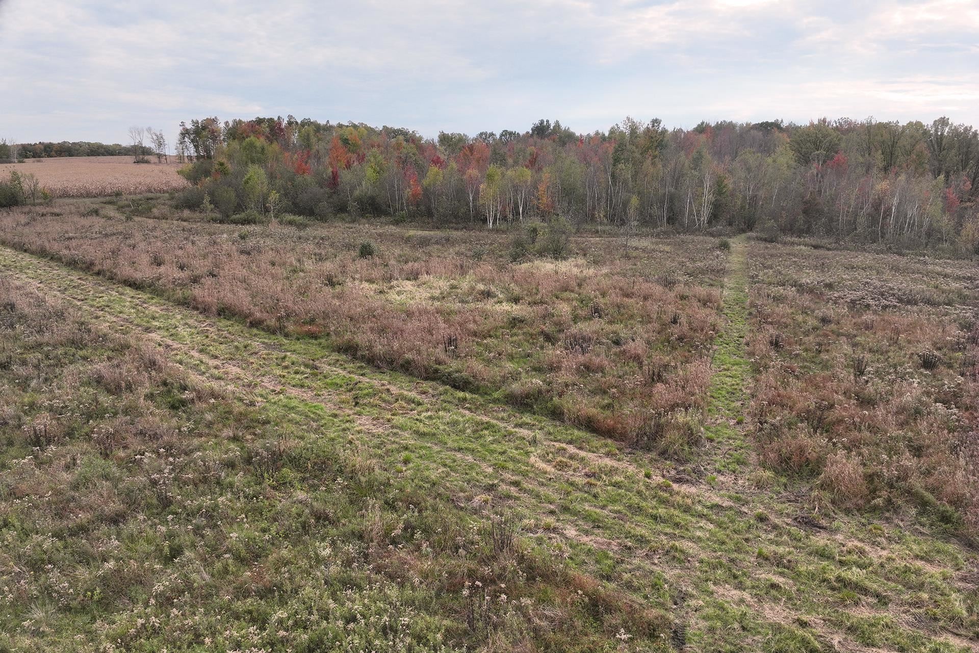 42.610 acres COUNTY ROAD O, Greenwood, Wisconsin 54437, ,Land,For Sale,42.610 acres COUNTY ROAD O,22504921