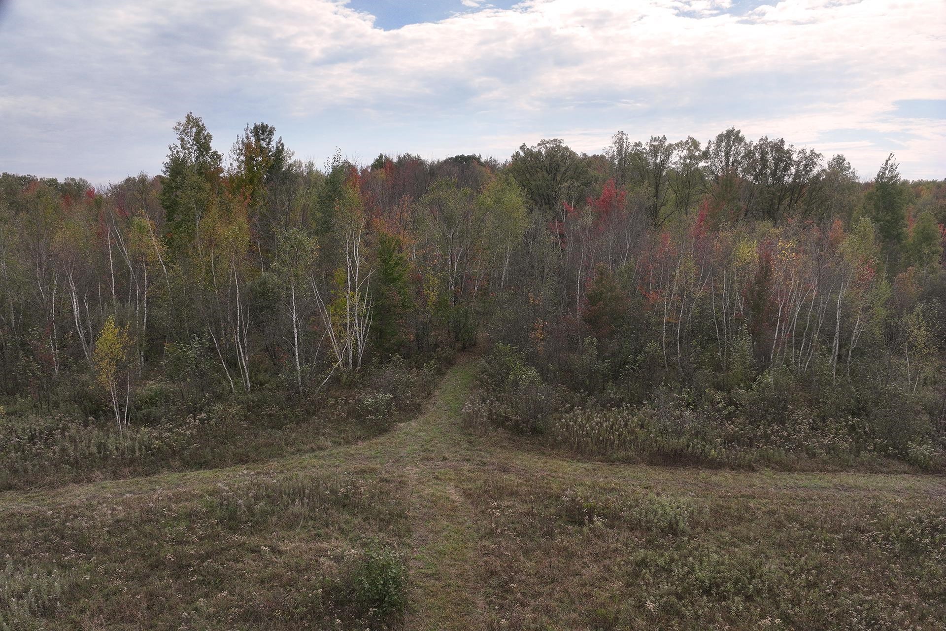 42.610 acres COUNTY ROAD O, Greenwood, Wisconsin 54437, ,Land,For Sale,42.610 acres COUNTY ROAD O,22504921