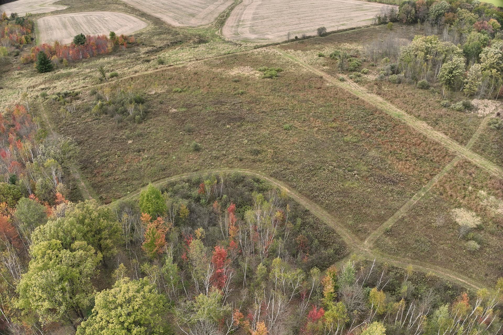 42.610 acres COUNTY ROAD O, Greenwood, Wisconsin 54437, ,Land,For Sale,42.610 acres COUNTY ROAD O,22504921