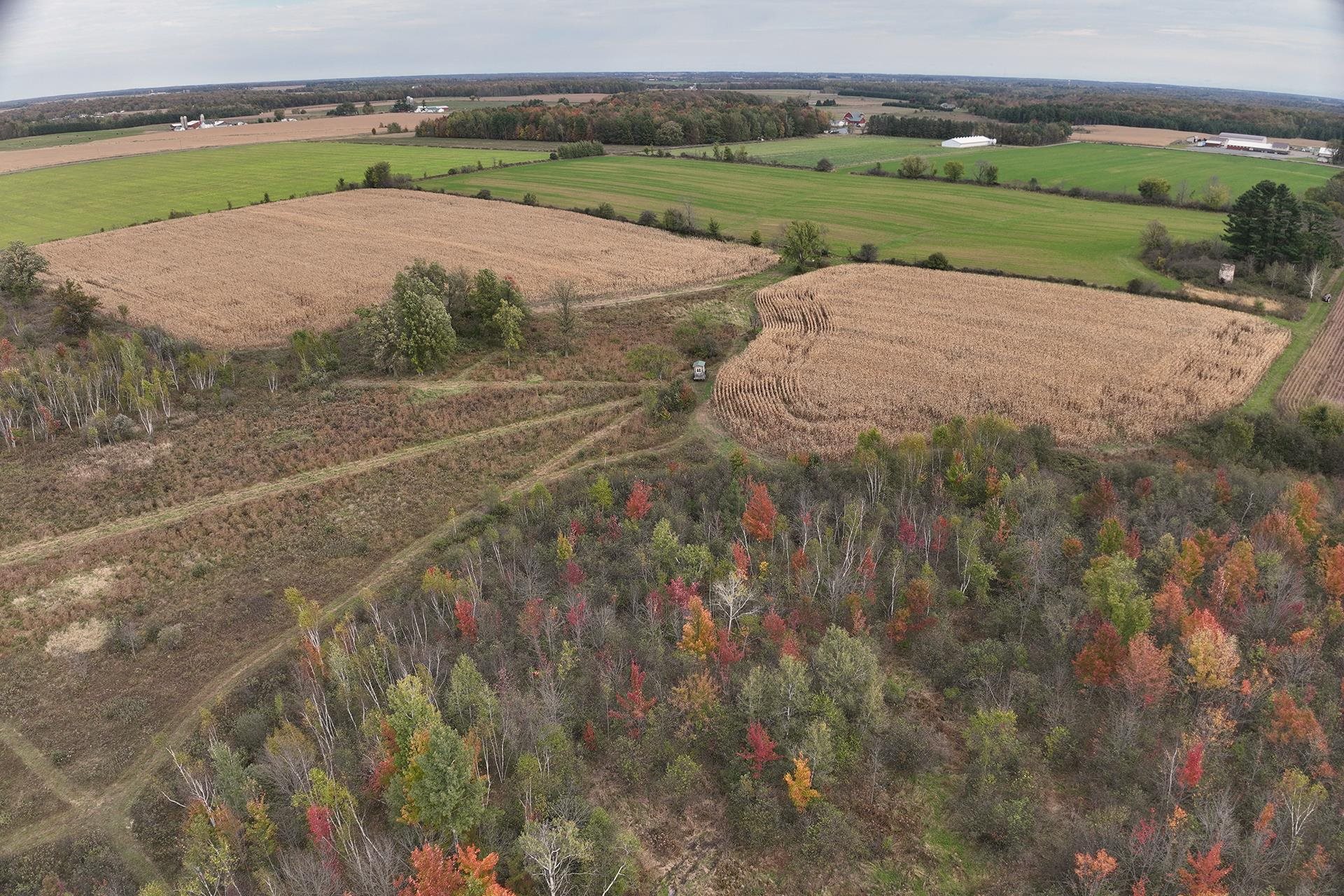42.610 acres COUNTY ROAD O, Greenwood, Wisconsin 54437, ,Land,For Sale,42.610 acres COUNTY ROAD O,22504921