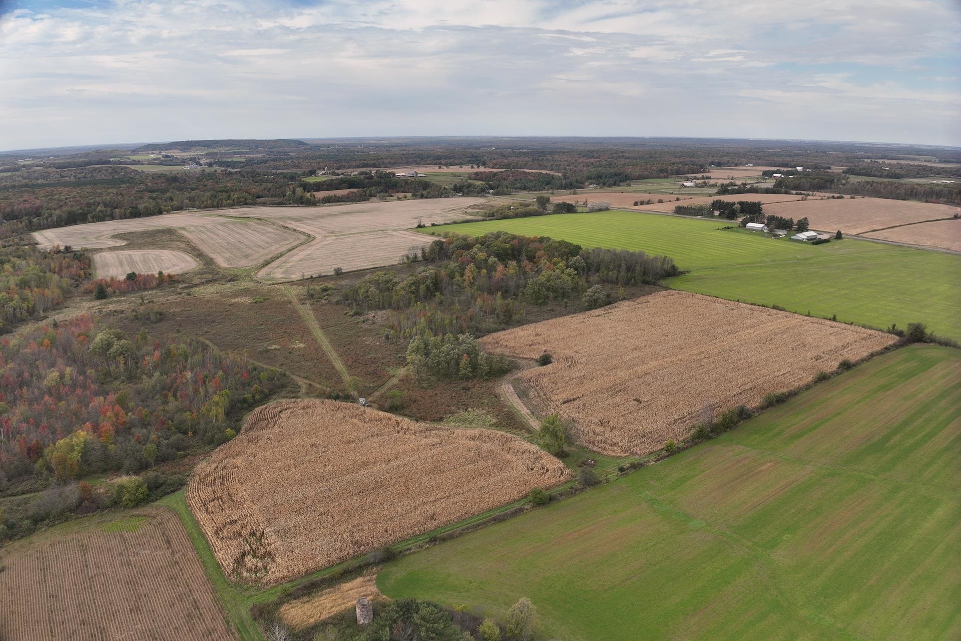 42.610 acres COUNTY ROAD O, Greenwood, Wisconsin 54437, ,Land,For Sale,42.610 acres COUNTY ROAD O,22504921