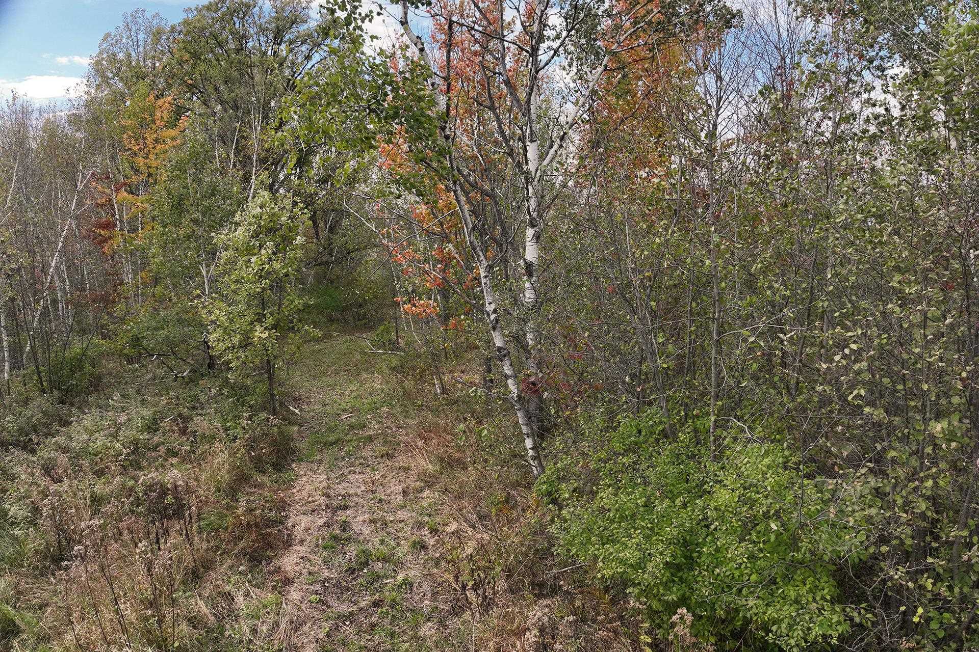 42.610 acres COUNTY ROAD O, Greenwood, Wisconsin 54437, ,Land,For Sale,42.610 acres COUNTY ROAD O,22504921