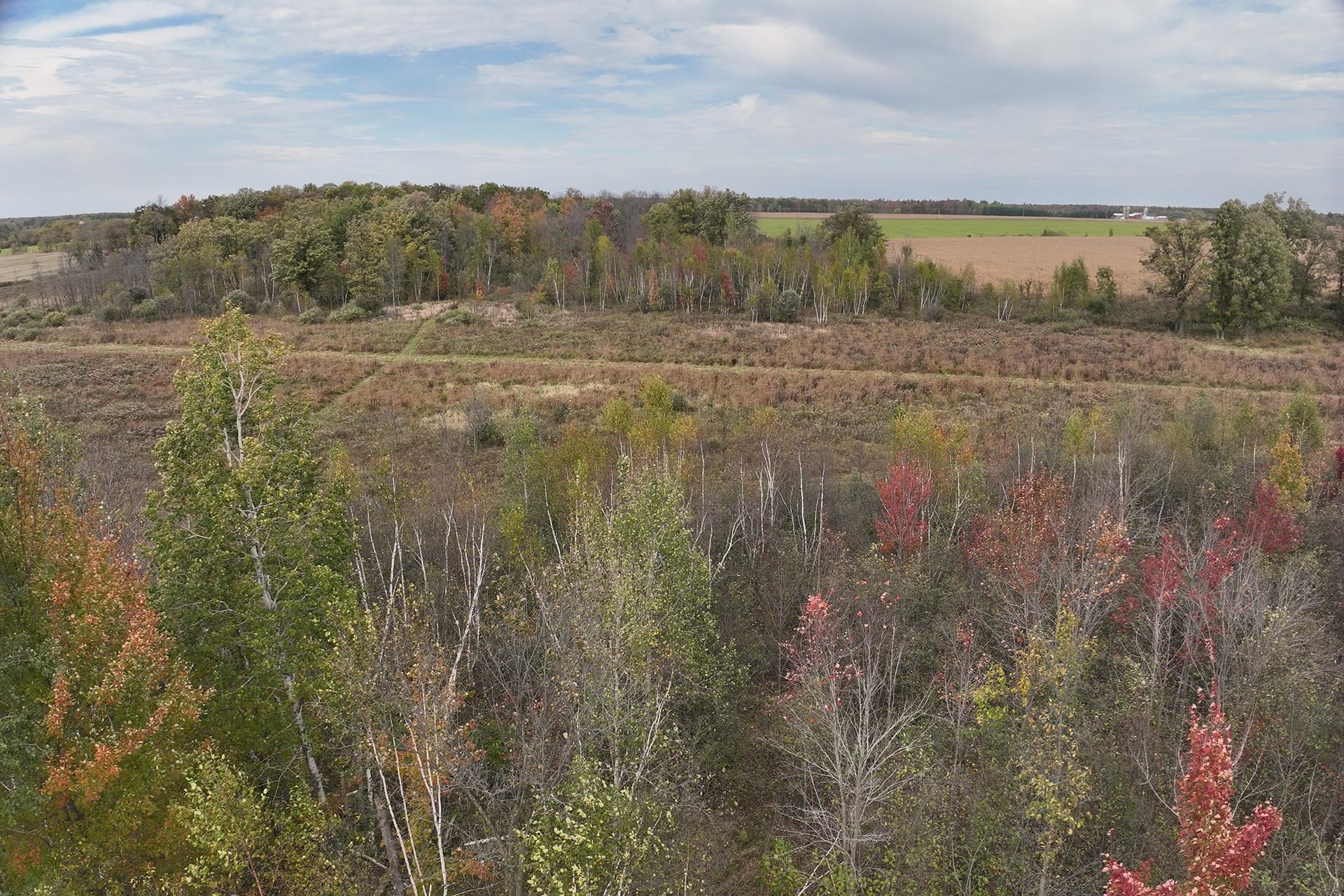42.610 acres COUNTY ROAD O, Greenwood, Wisconsin 54437, ,Land,For Sale,42.610 acres COUNTY ROAD O,22504921