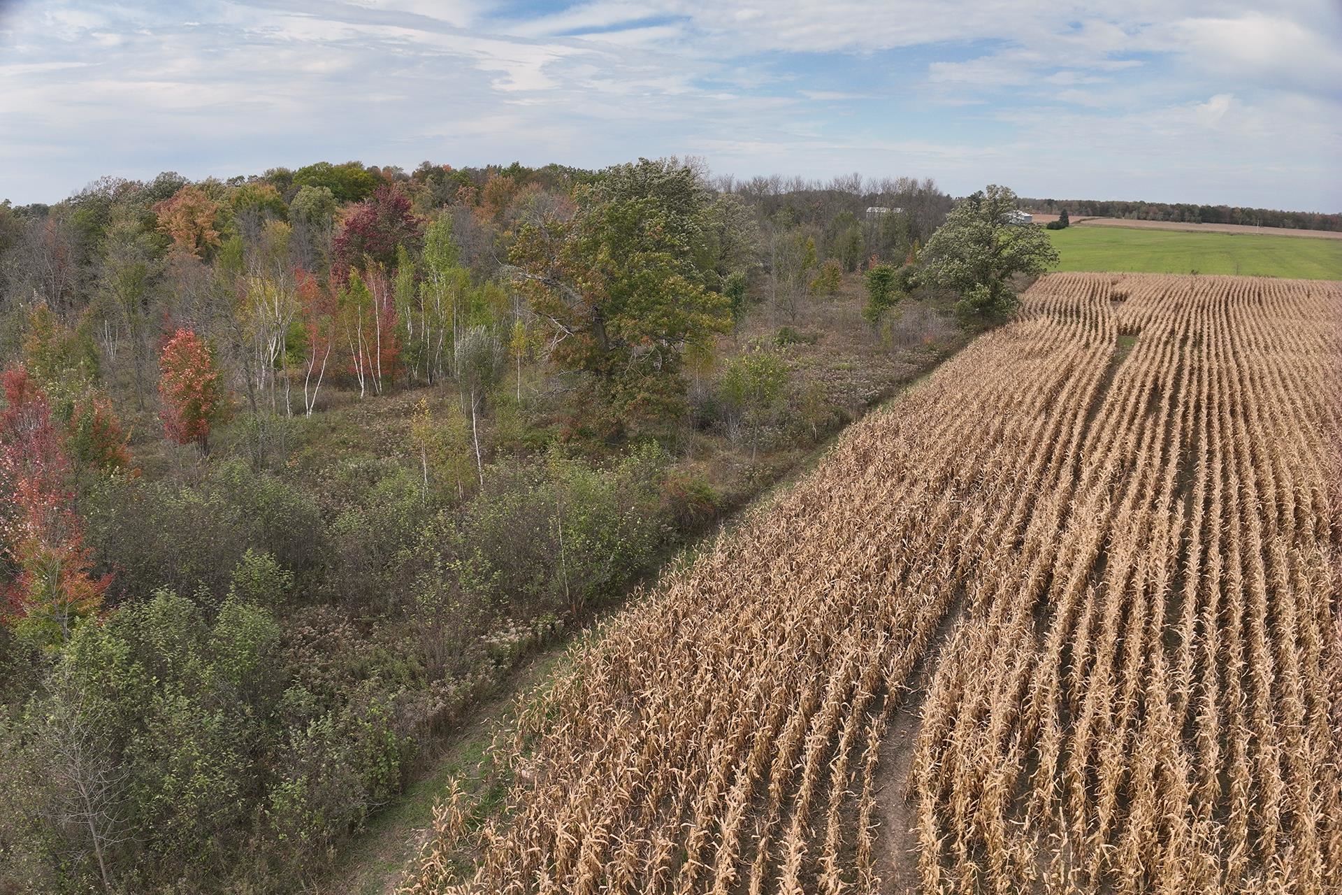42.610 acres COUNTY ROAD O, Greenwood, Wisconsin 54437, ,Land,For Sale,42.610 acres COUNTY ROAD O,22504921