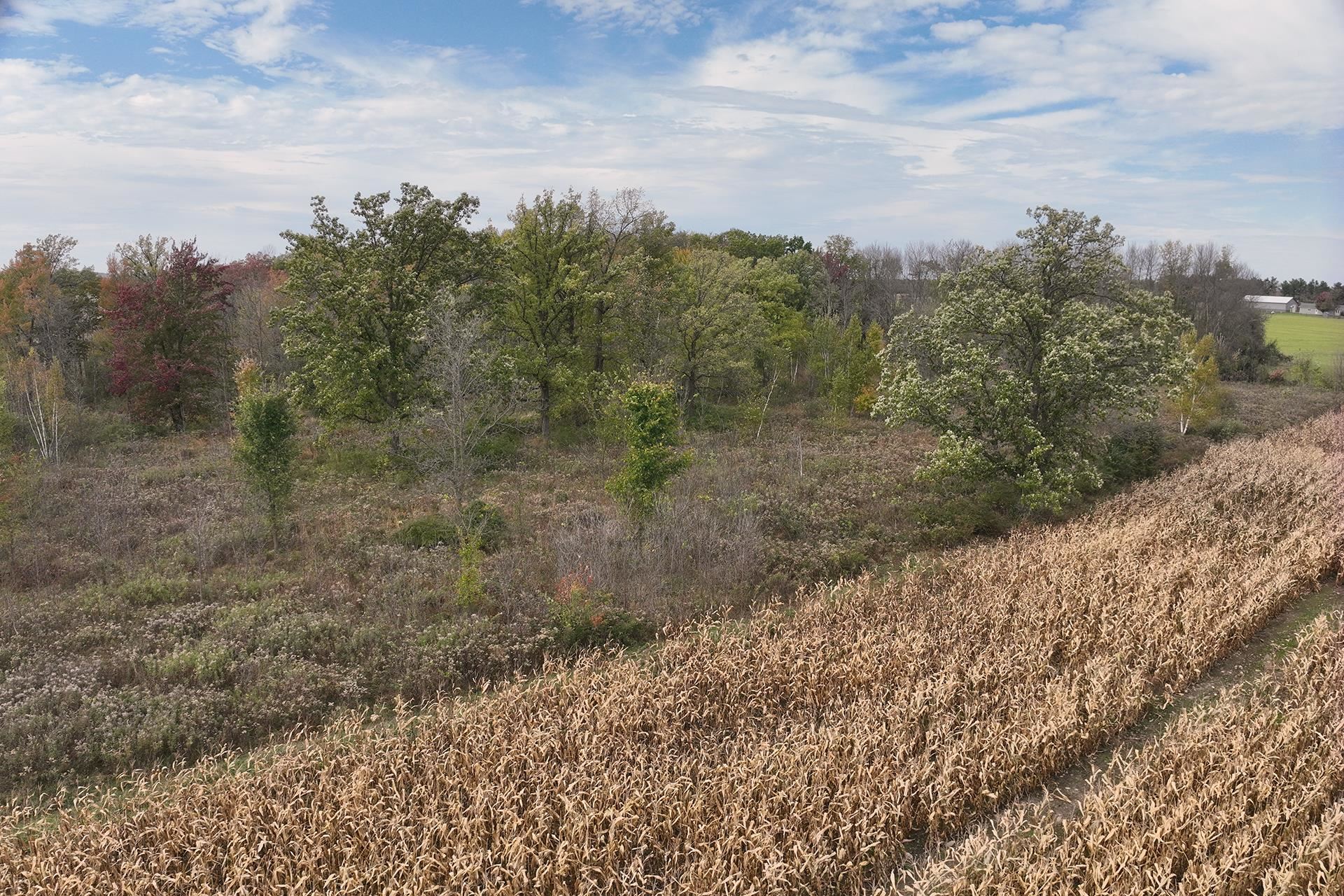 42.610 acres COUNTY ROAD O, Greenwood, Wisconsin 54437, ,Land,For Sale,42.610 acres COUNTY ROAD O,22504921