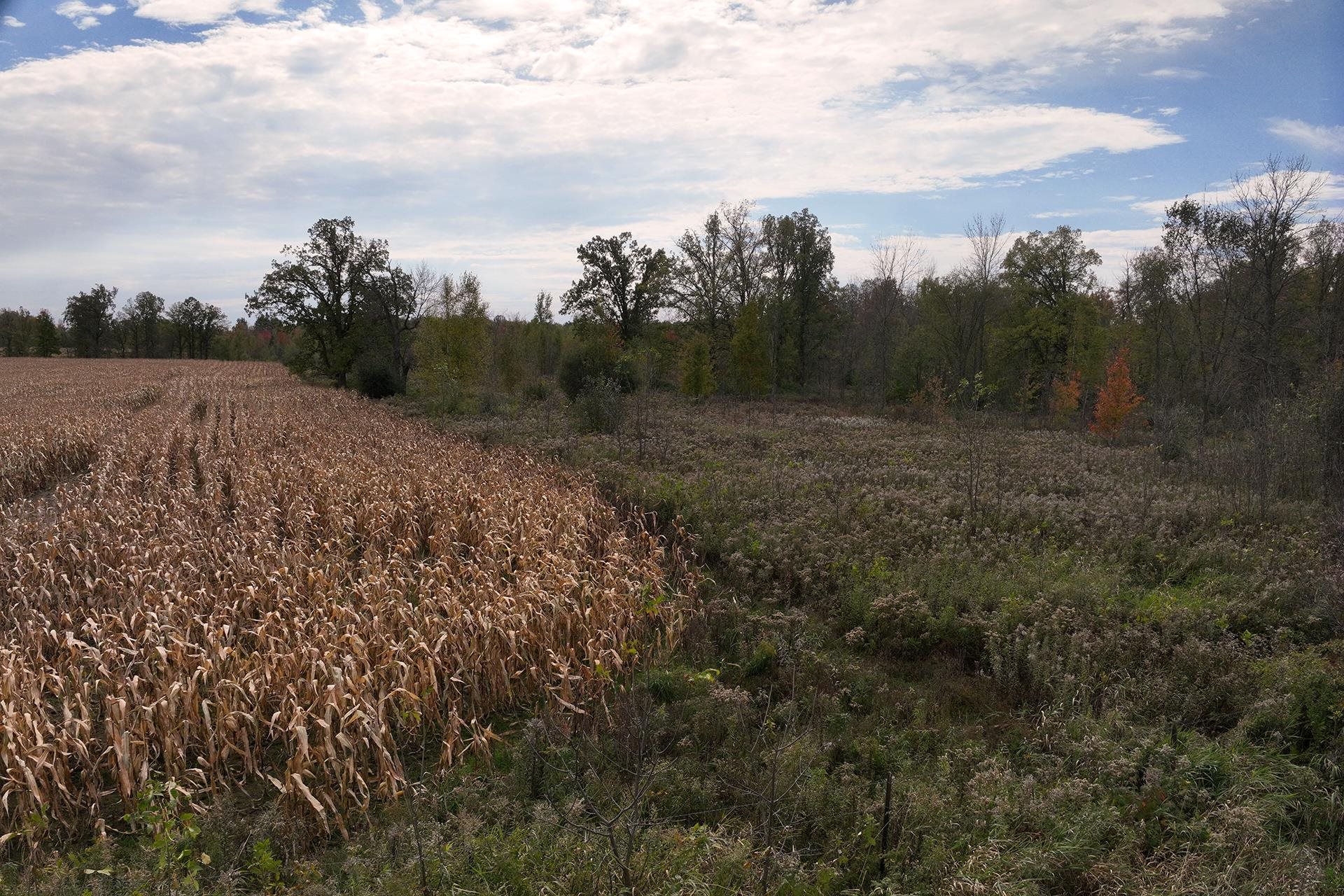 42.610 acres COUNTY ROAD O, Greenwood, Wisconsin 54437, ,Land,For Sale,42.610 acres COUNTY ROAD O,22504921