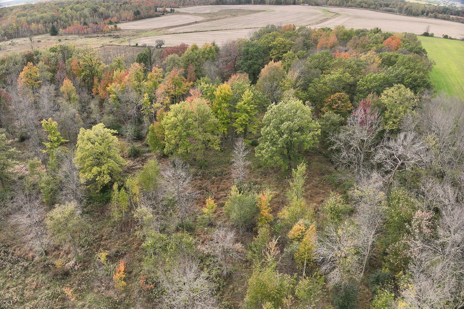 42.610 acres COUNTY ROAD O, Greenwood, Wisconsin 54437, ,Land,For Sale,42.610 acres COUNTY ROAD O,22504921