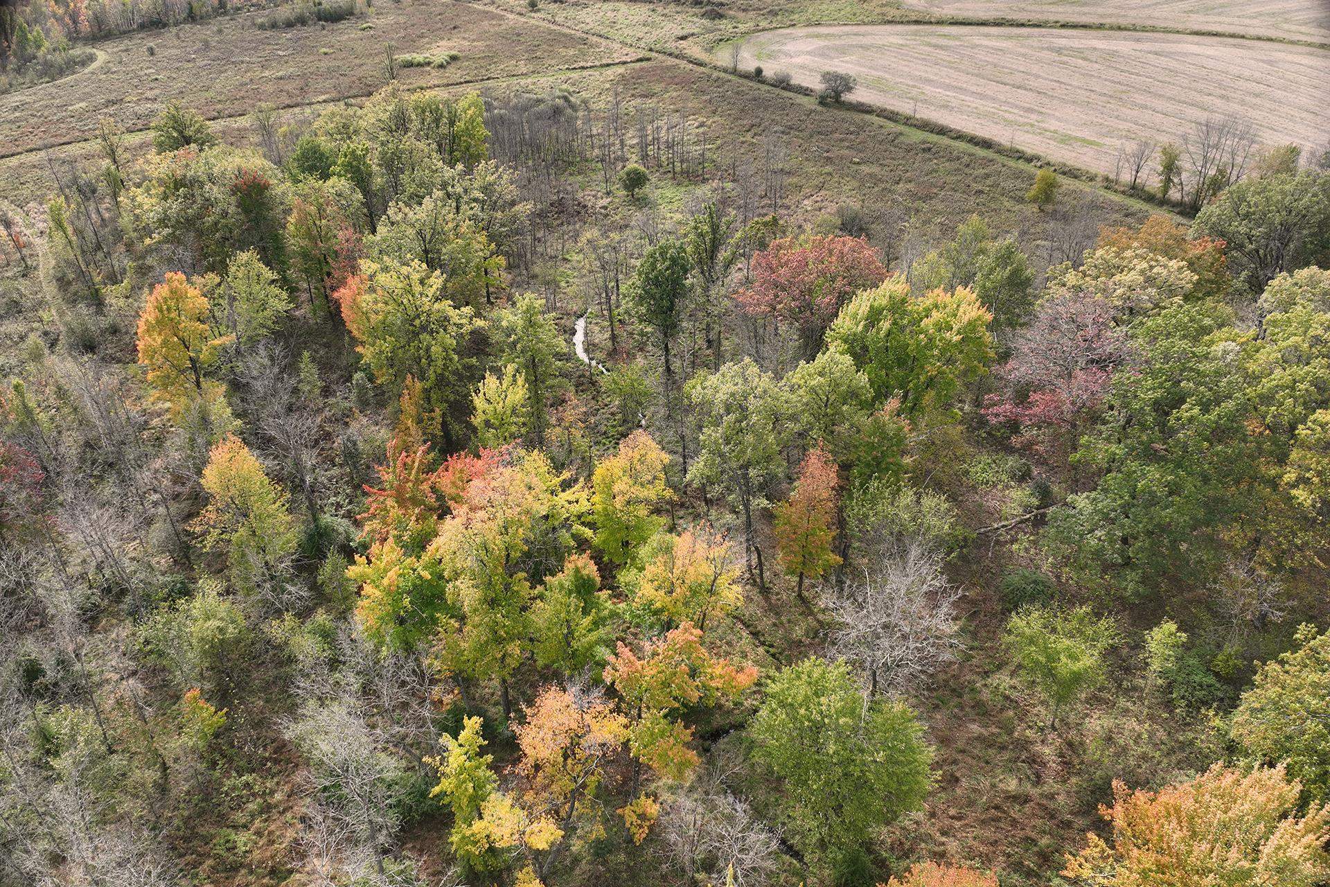 42.610 acres COUNTY ROAD O, Greenwood, Wisconsin 54437, ,Land,For Sale,42.610 acres COUNTY ROAD O,22504921