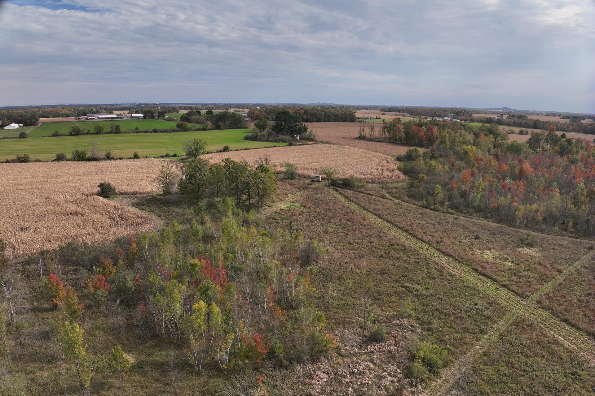 42.610 acres COUNTY ROAD O, Greenwood, Wisconsin 54437, ,Land,For Sale,42.610 acres COUNTY ROAD O,22504921