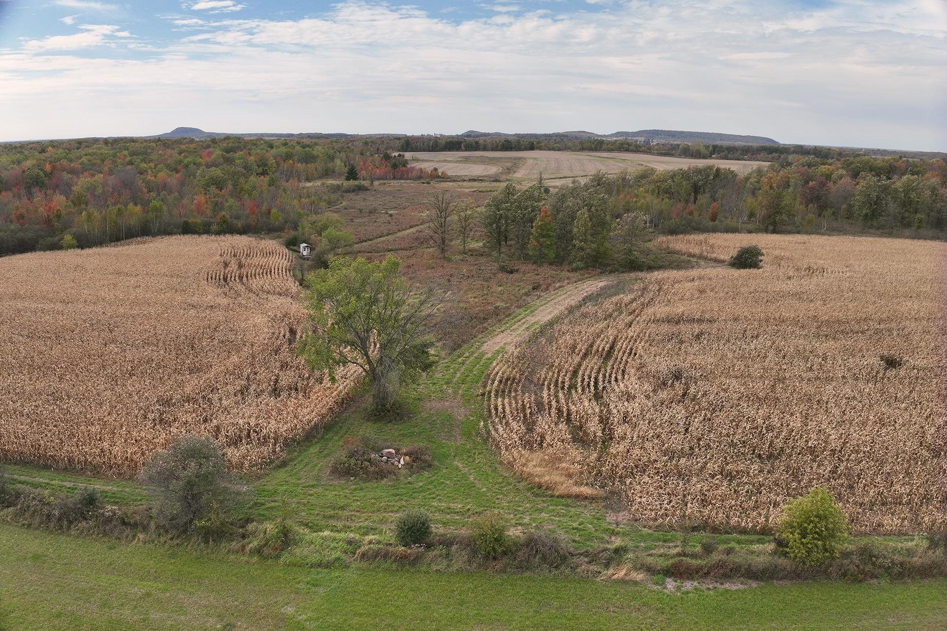 42.610 acres COUNTY ROAD O, Greenwood, Wisconsin 54437, ,Land,For Sale,42.610 acres COUNTY ROAD O,22504921