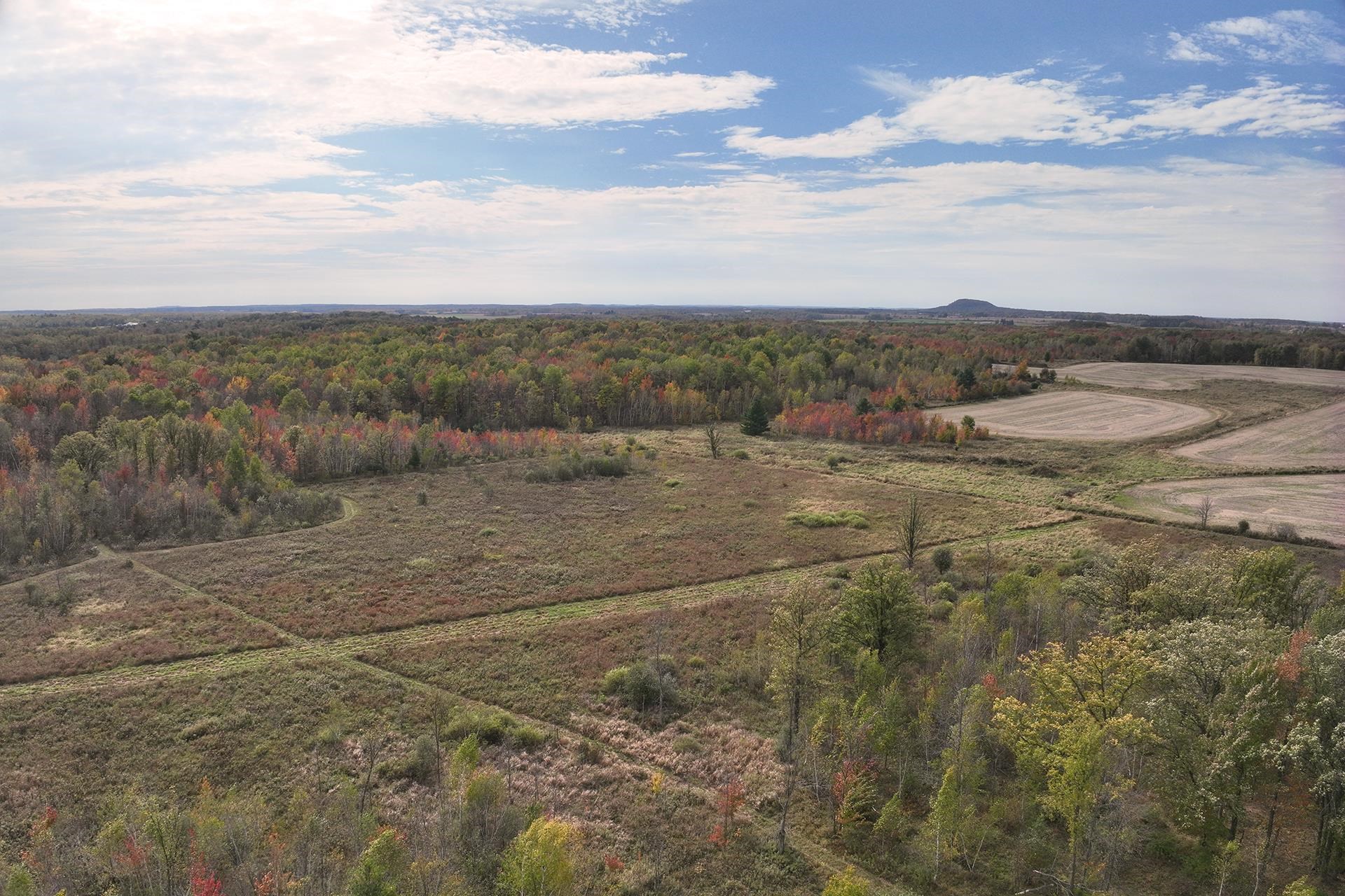 42.610 acres COUNTY ROAD O, Greenwood, Wisconsin 54437, ,Land,For Sale,42.610 acres COUNTY ROAD O,22504921