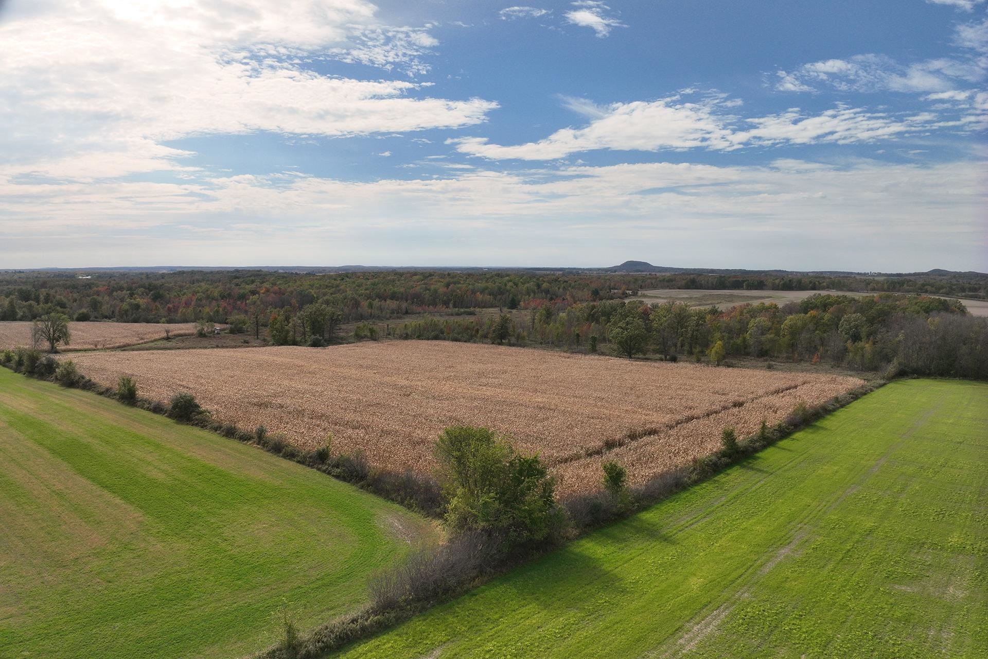 42.610 acres COUNTY ROAD O, Greenwood, Wisconsin 54437, ,Land,For Sale,42.610 acres COUNTY ROAD O,22504921