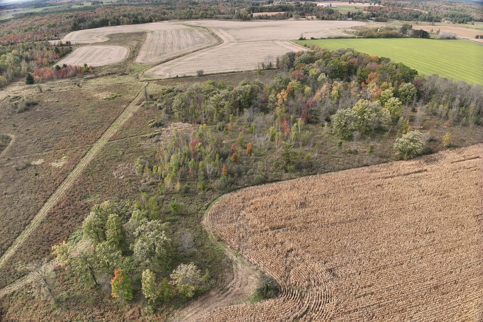 42.610 acres COUNTY ROAD O, Greenwood, Wisconsin 54437, ,Land,For Sale,42.610 acres COUNTY ROAD O,22504921