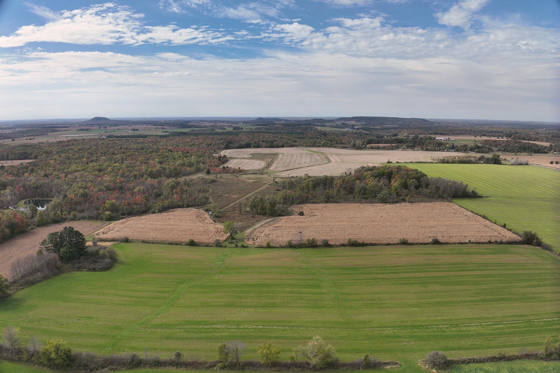 42.610 acres COUNTY ROAD O, Greenwood, Wisconsin 54437, ,Land,For Sale,42.610 acres COUNTY ROAD O,22504921