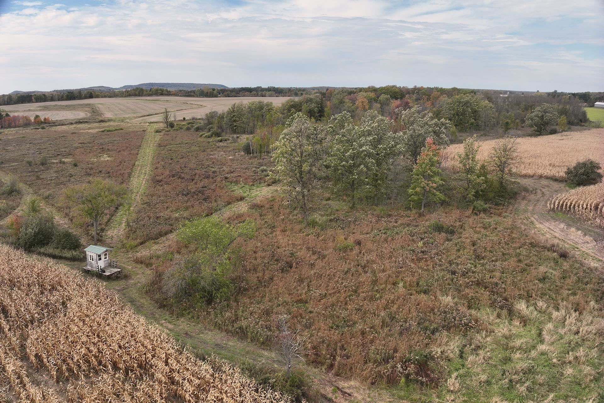 42.610 acres COUNTY ROAD O, Greenwood, Wisconsin 54437, ,Land,For Sale,42.610 acres COUNTY ROAD O,22504921