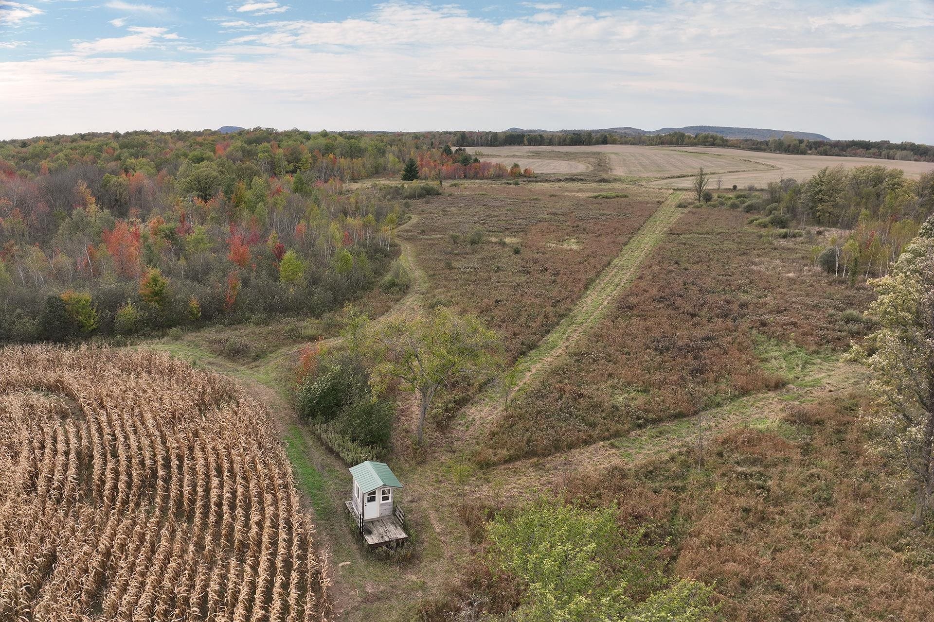 42.610 acres COUNTY ROAD O, Greenwood, Wisconsin 54437, ,Land,For Sale,42.610 acres COUNTY ROAD O,22504921