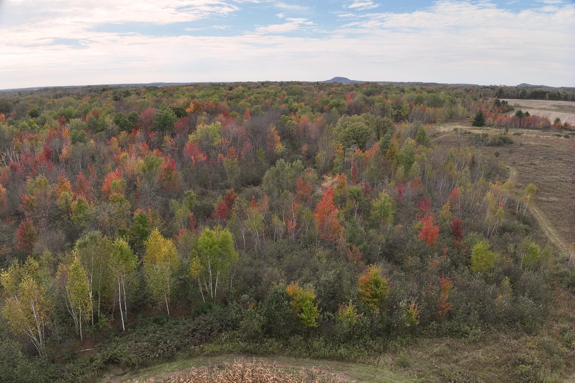 42.610 acres COUNTY ROAD O, Greenwood, Wisconsin 54437, ,Land,For Sale,42.610 acres COUNTY ROAD O,22504921