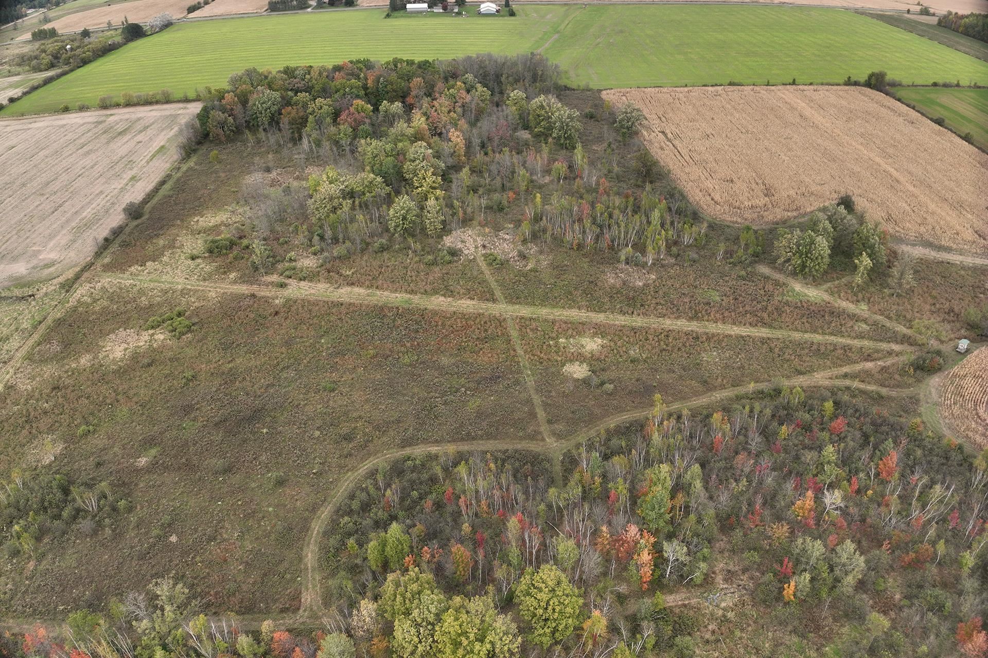 42.610 acres COUNTY ROAD O, Greenwood, Wisconsin 54437, ,Land,For Sale,42.610 acres COUNTY ROAD O,22504921