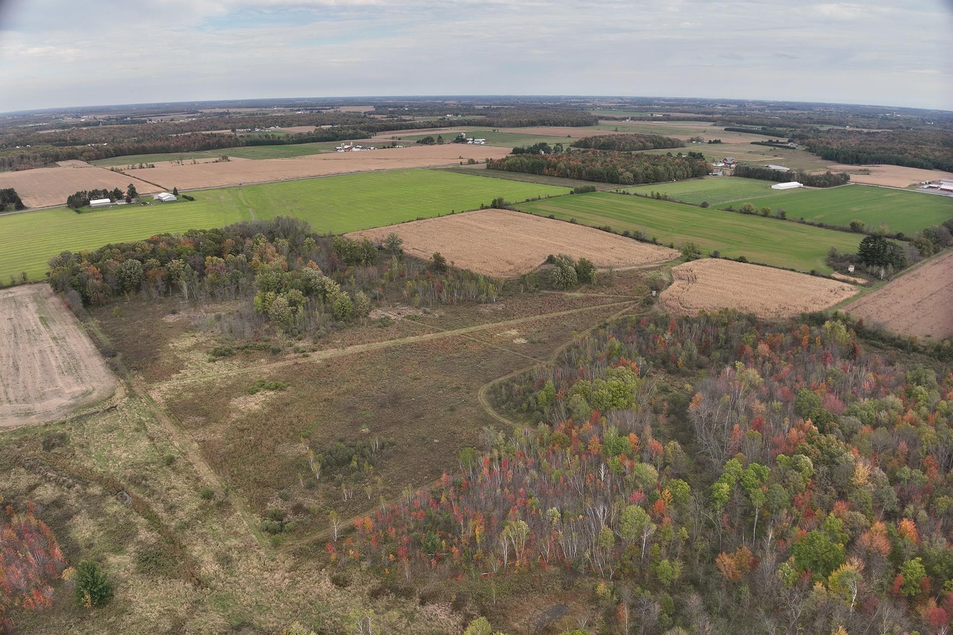 42.610 acres COUNTY ROAD O, Greenwood, Wisconsin 54437, ,Land,For Sale,42.610 acres COUNTY ROAD O,22504921