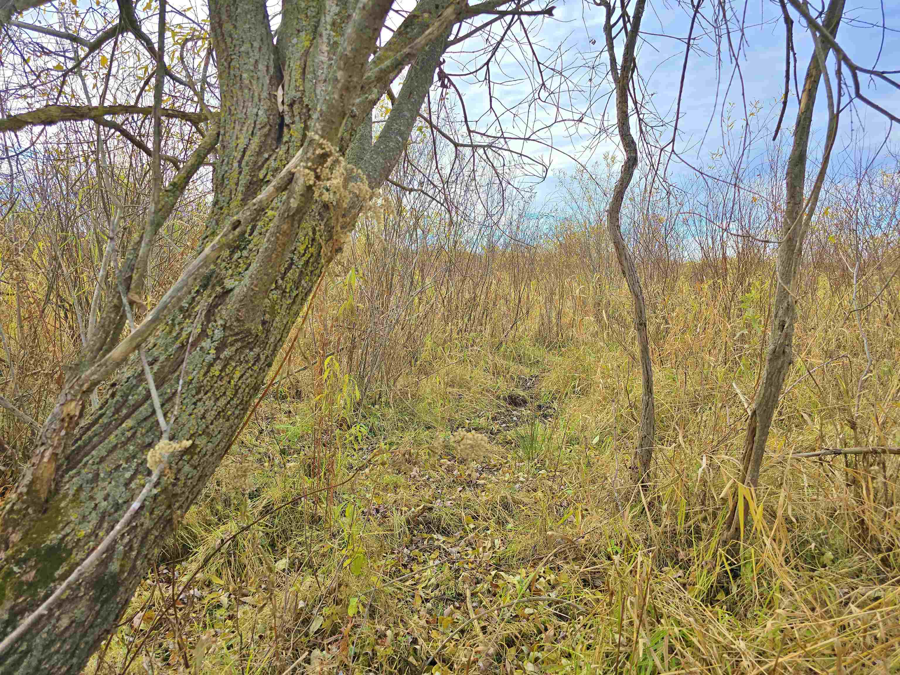 4.89 Acres At N GALVIN AVENUE, Marshfield, Wisconsin 54449, ,Land,For Sale,4.89 Acres At N GALVIN AVENUE,22505328