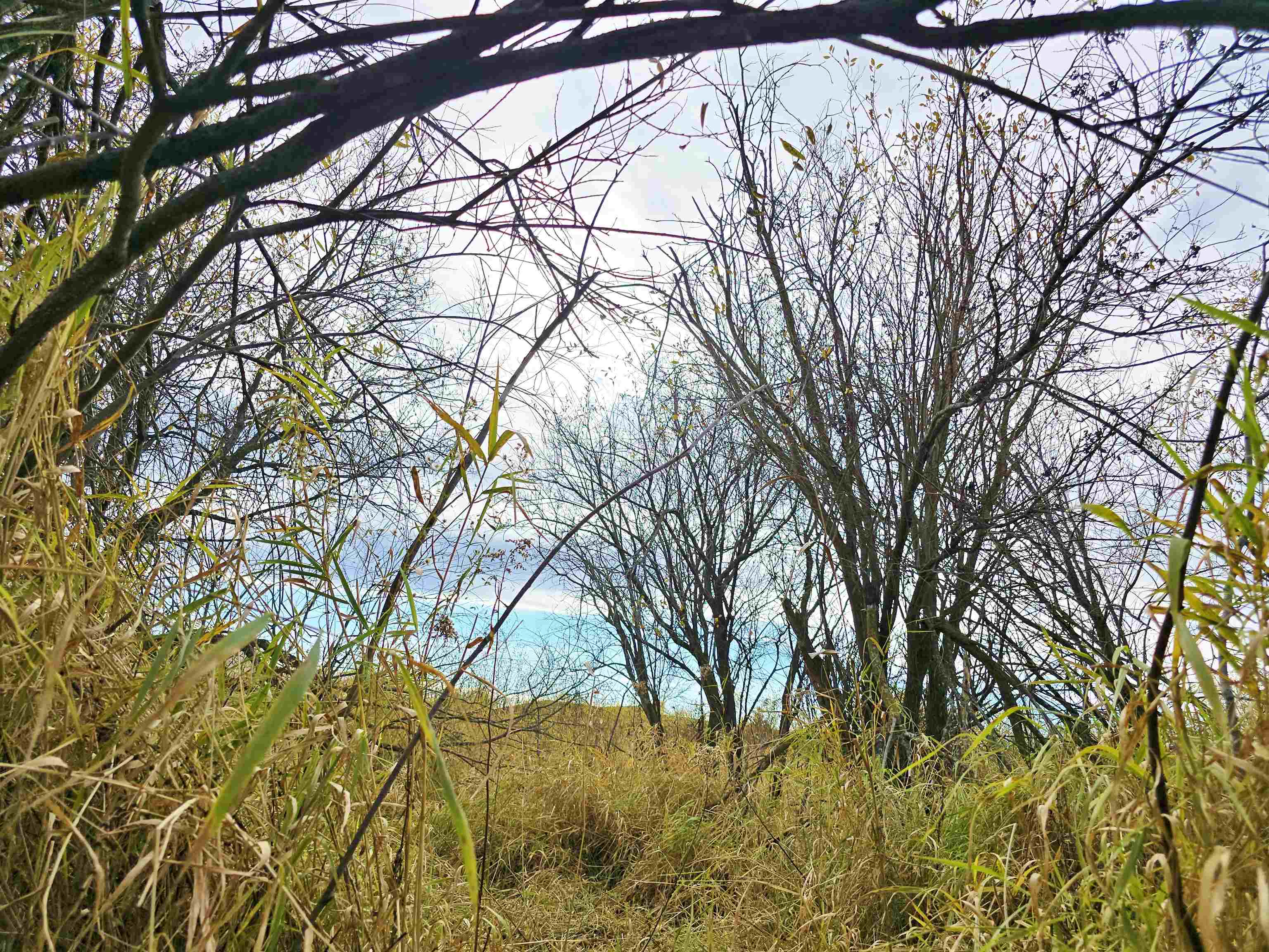 4.89 Acres At N GALVIN AVENUE, Marshfield, Wisconsin 54449, ,Land,For Sale,4.89 Acres At N GALVIN AVENUE,22505328