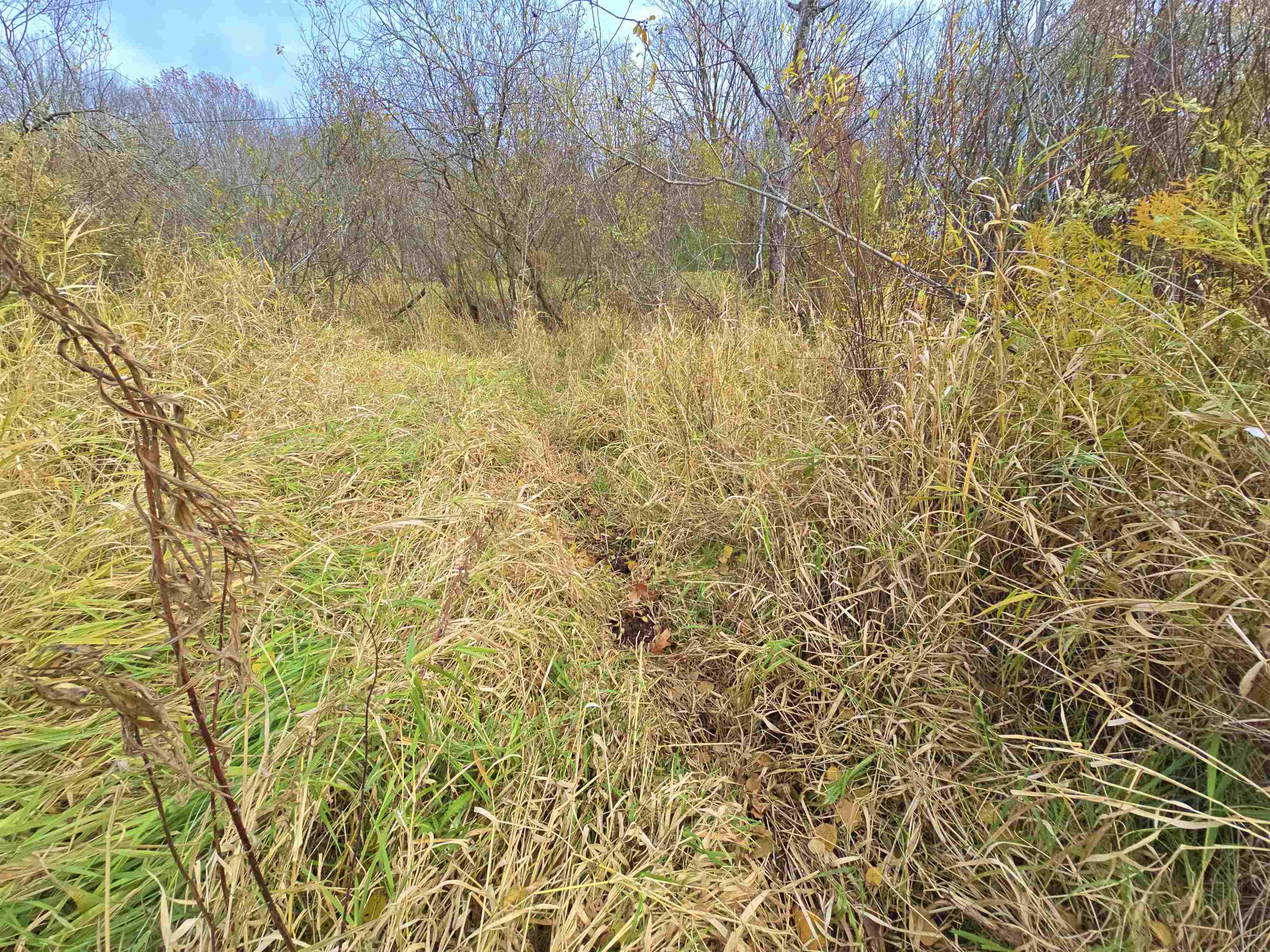 4.89 Acres At N GALVIN AVENUE, Marshfield, Wisconsin 54449, ,Land,For Sale,4.89 Acres At N GALVIN AVENUE,22505328