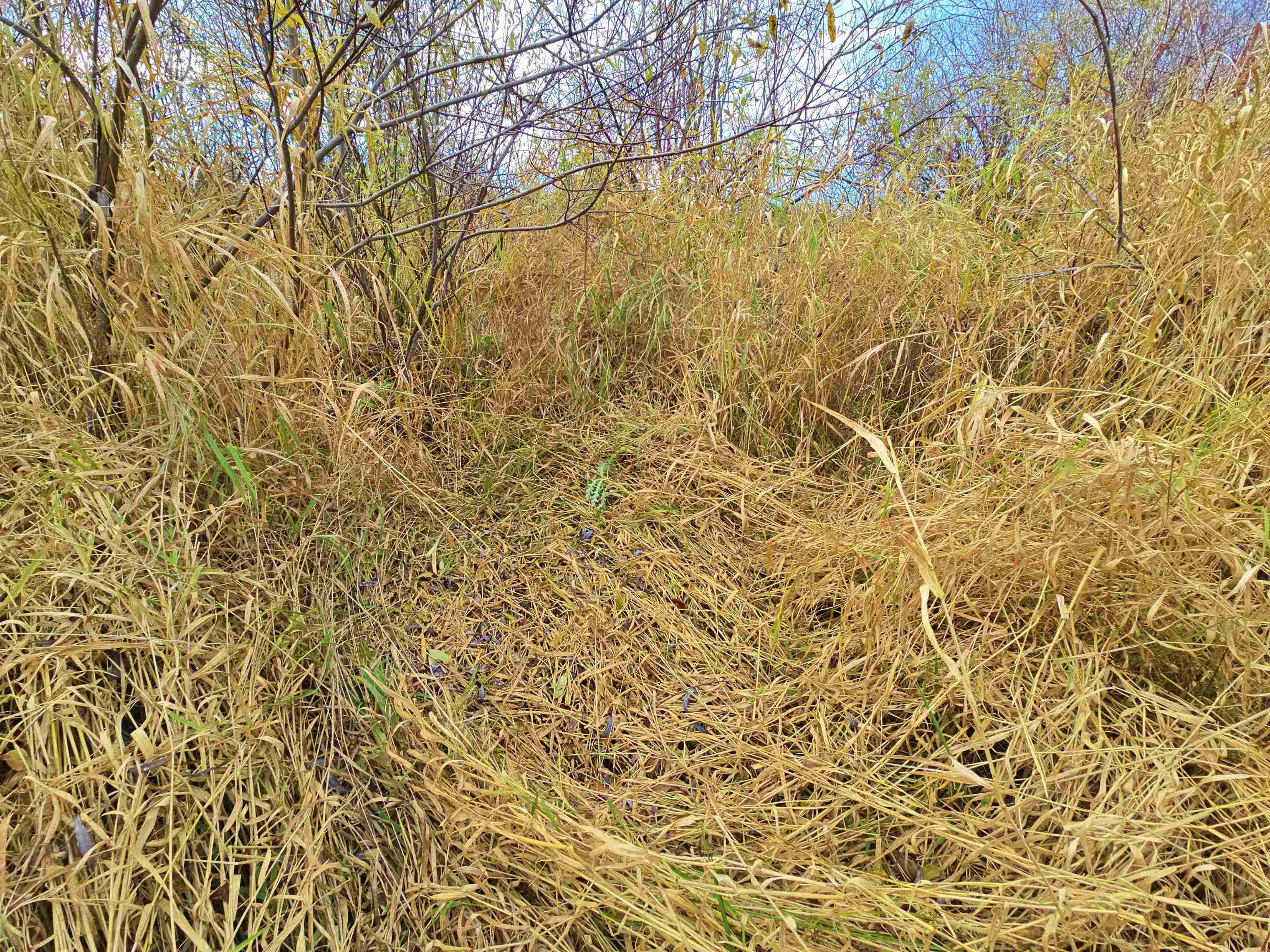 4.89 Acres At N GALVIN AVENUE, Marshfield, Wisconsin 54449, ,Land,For Sale,4.89 Acres At N GALVIN AVENUE,22505328