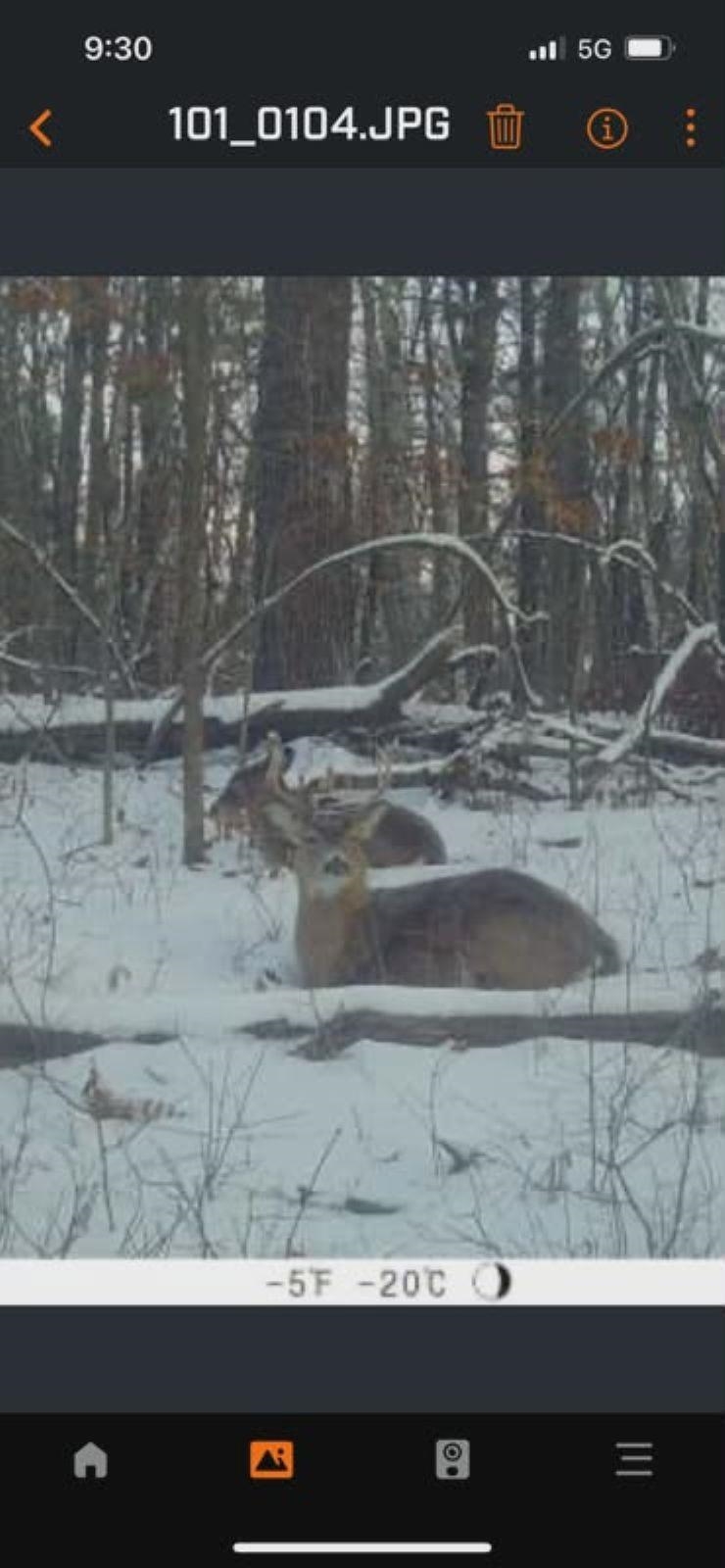 39.94 Acres COUNTY ROAD V, Pittsville, Wisconsin 54466, ,Land,For Sale,39.94 Acres COUNTY ROAD V,22505645