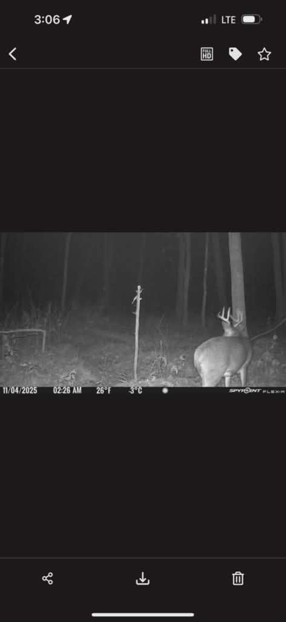 39.94 Acres COUNTY ROAD V, Pittsville, Wisconsin 54466, ,Land,For Sale,39.94 Acres COUNTY ROAD V,22505645