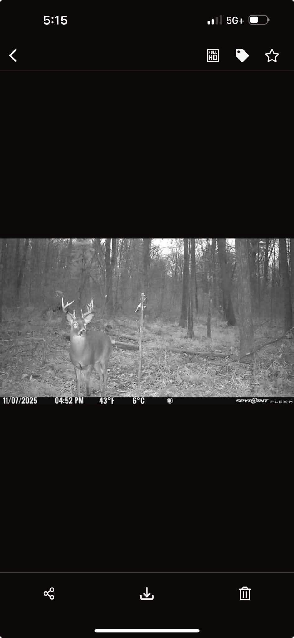 39.94 Acres COUNTY ROAD V, Pittsville, Wisconsin 54466, ,Land,For Sale,39.94 Acres COUNTY ROAD V,22505645