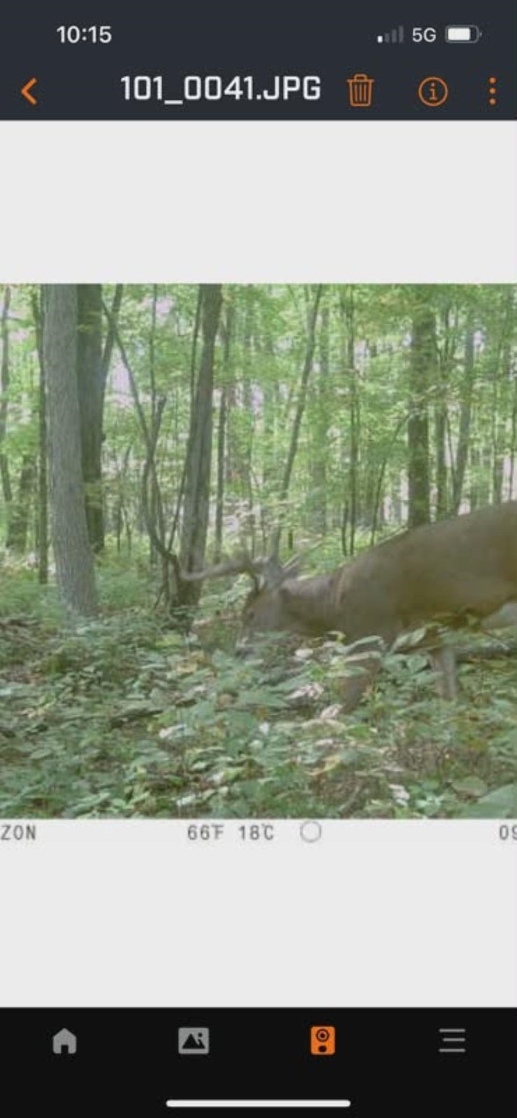 39.94 Acres COUNTY ROAD V, Pittsville, Wisconsin 54466, ,Land,For Sale,39.94 Acres COUNTY ROAD V,22505645