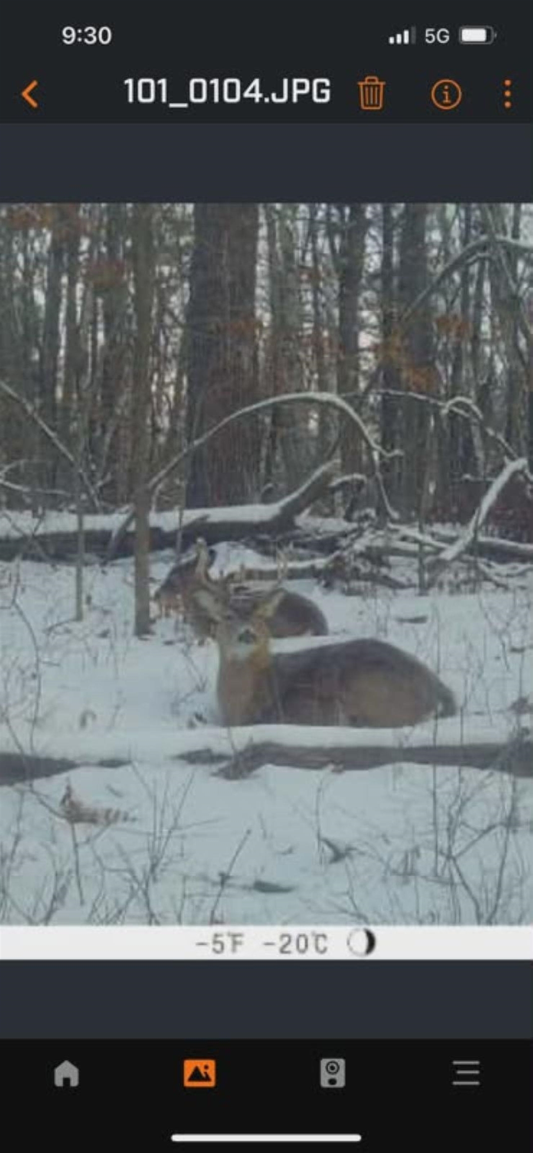 39.94 Acres COUNTY ROAD V, Pittsville, Wisconsin 54466, ,Land,For Sale,39.94 Acres COUNTY ROAD V,22505645