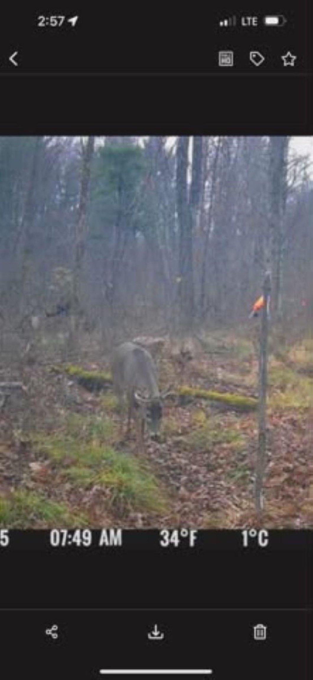 39.94 Acres COUNTY ROAD V, Pittsville, Wisconsin 54466, ,Land,For Sale,39.94 Acres COUNTY ROAD V,22505645