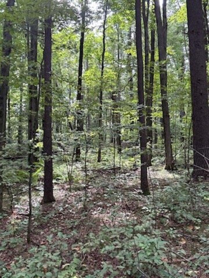 39.94 Acres COUNTY ROAD V, Pittsville, Wisconsin 54466, ,Land,For Sale,39.94 Acres COUNTY ROAD V,22505645