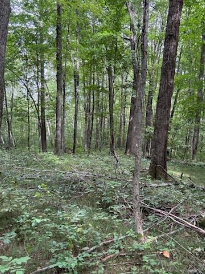 39.94 Acres COUNTY ROAD V, Pittsville, Wisconsin 54466, ,Land,For Sale,39.94 Acres COUNTY ROAD V,22505645